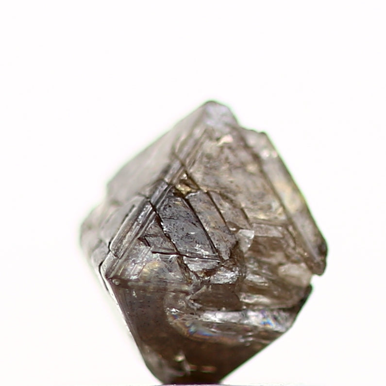 ClariOLED Transparent OLED Display price