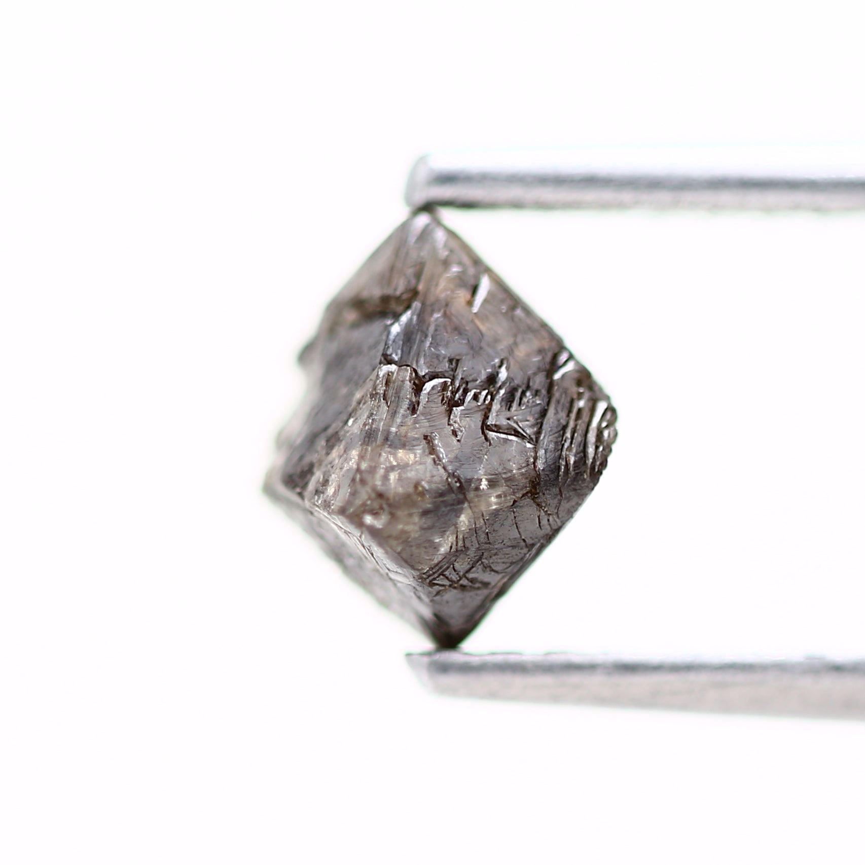 ClariOLED Transparent OLED Display price