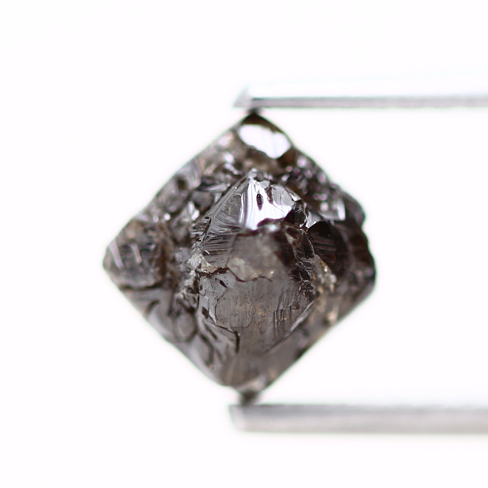 ClariOLED Transparent OLED Display price