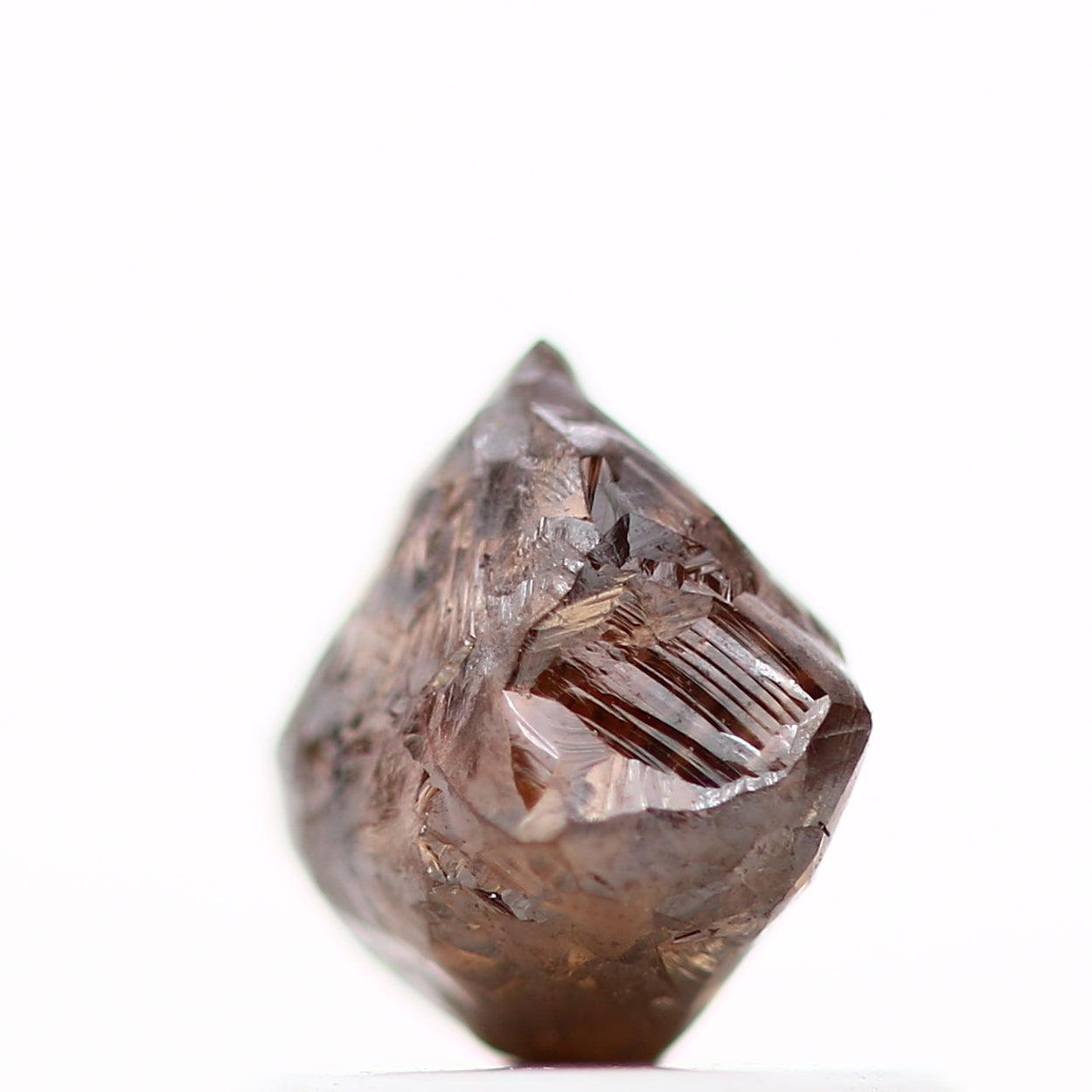 ClariOLED Transparent OLED Display price