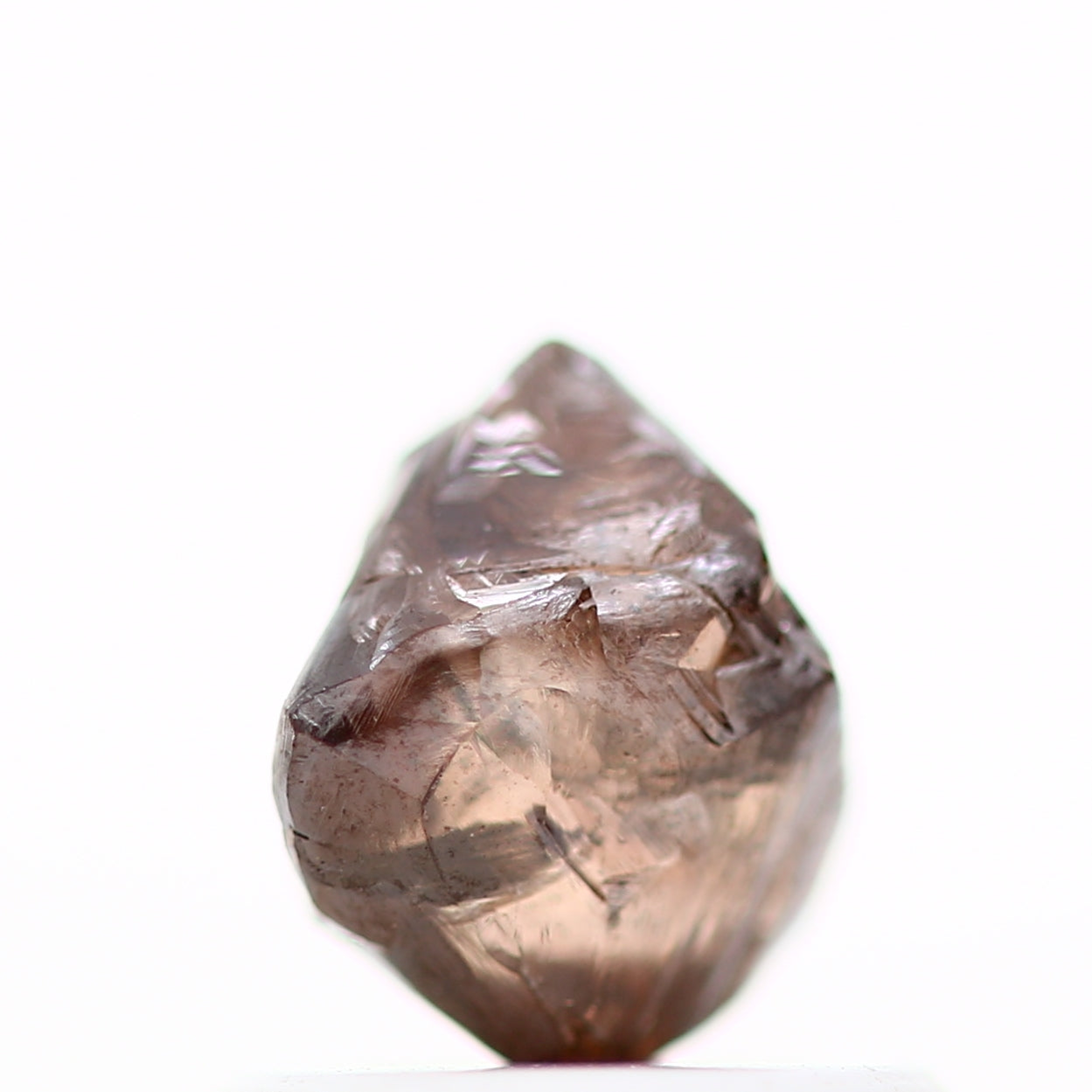 ClariOLED Transparent OLED Display price