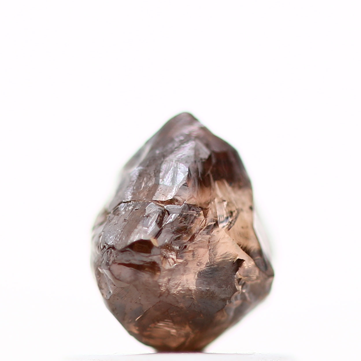 ClariOLED Transparent OLED Display price