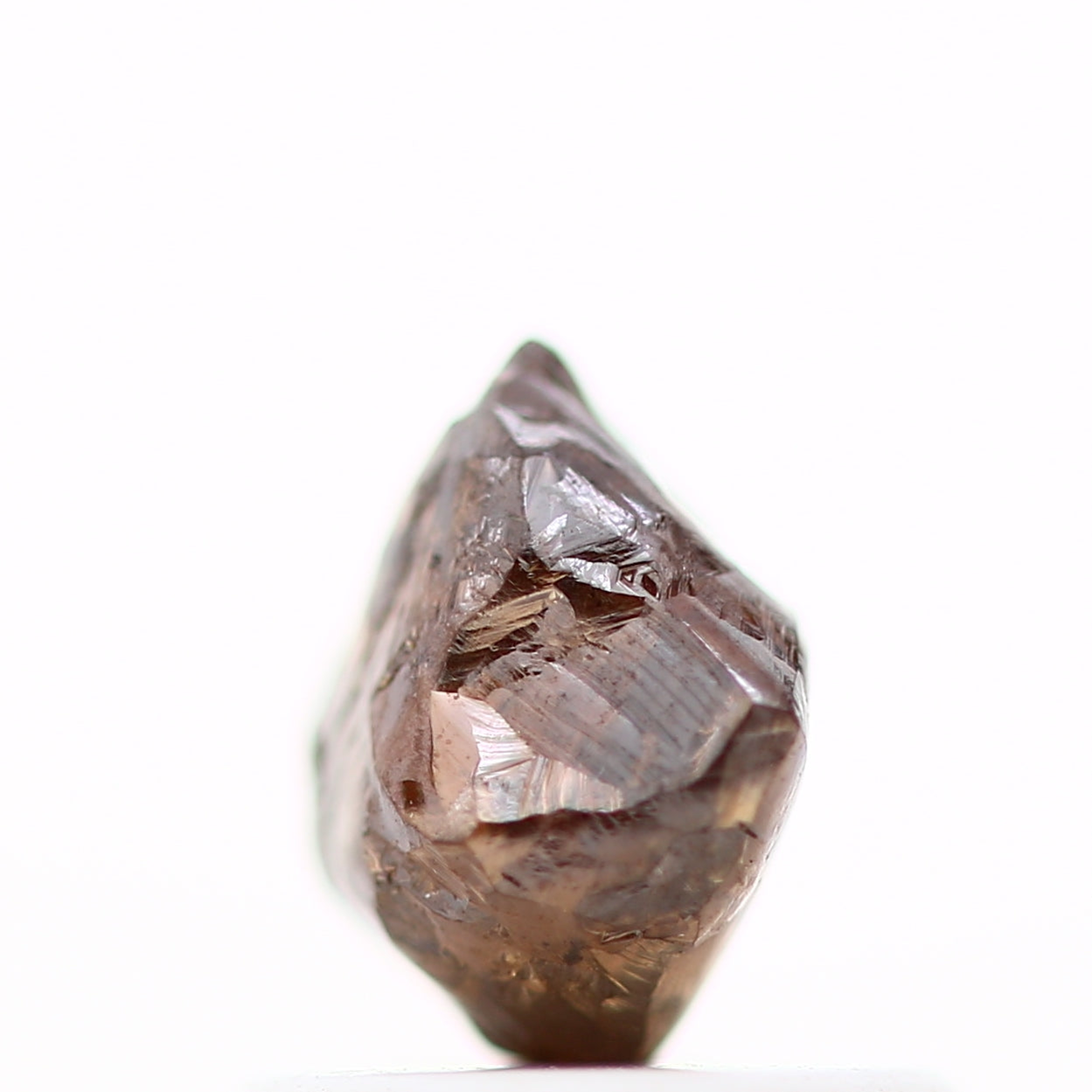 ClariOLED Transparent OLED Display price