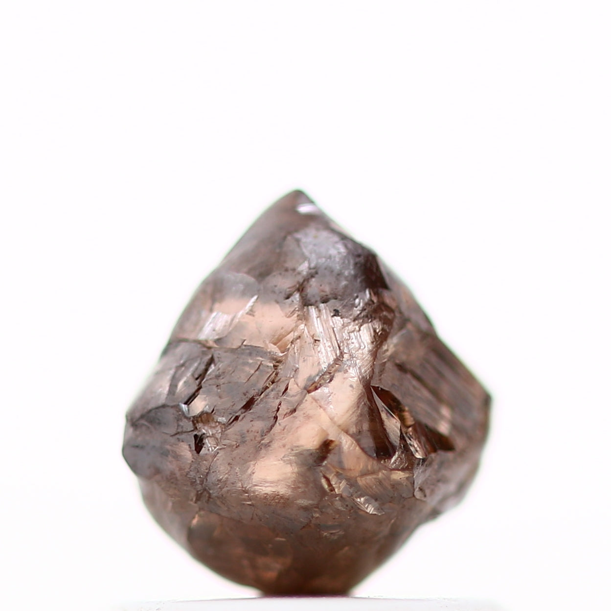 ClariOLED Transparent OLED Display price