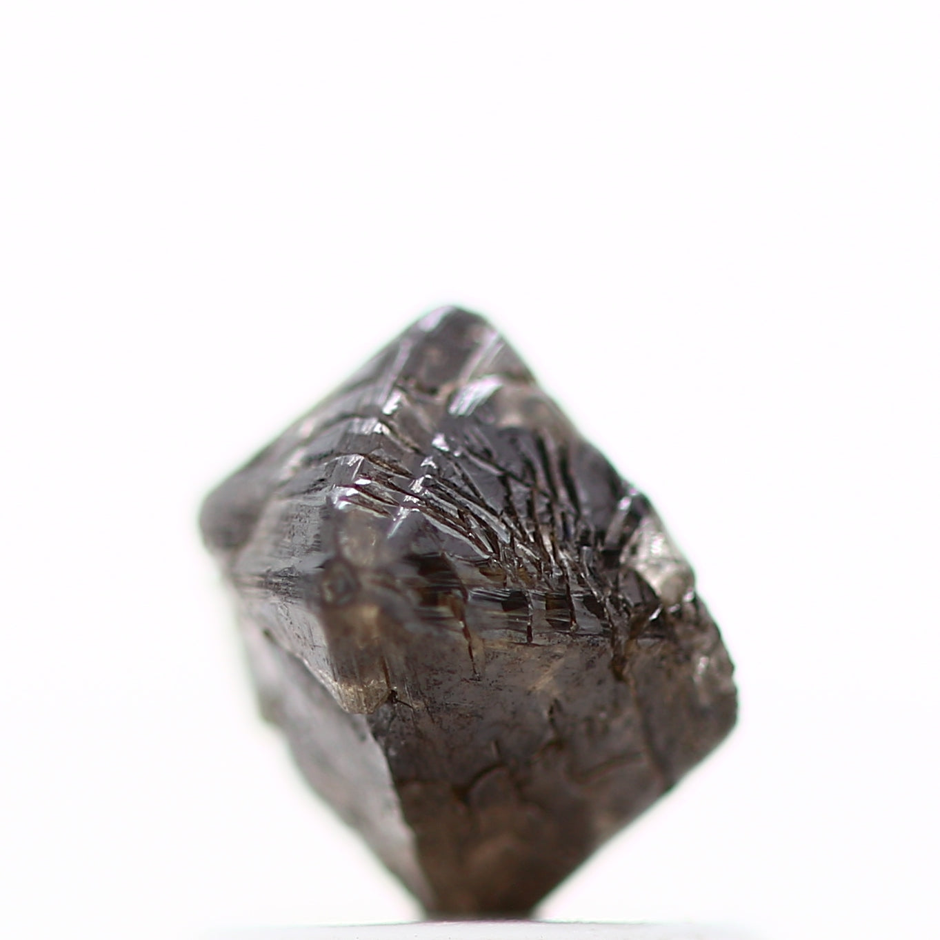 ClariOLED Transparent OLED Display price