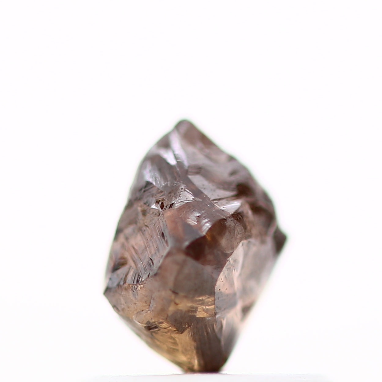 ClariOLED Transparent OLED Display price