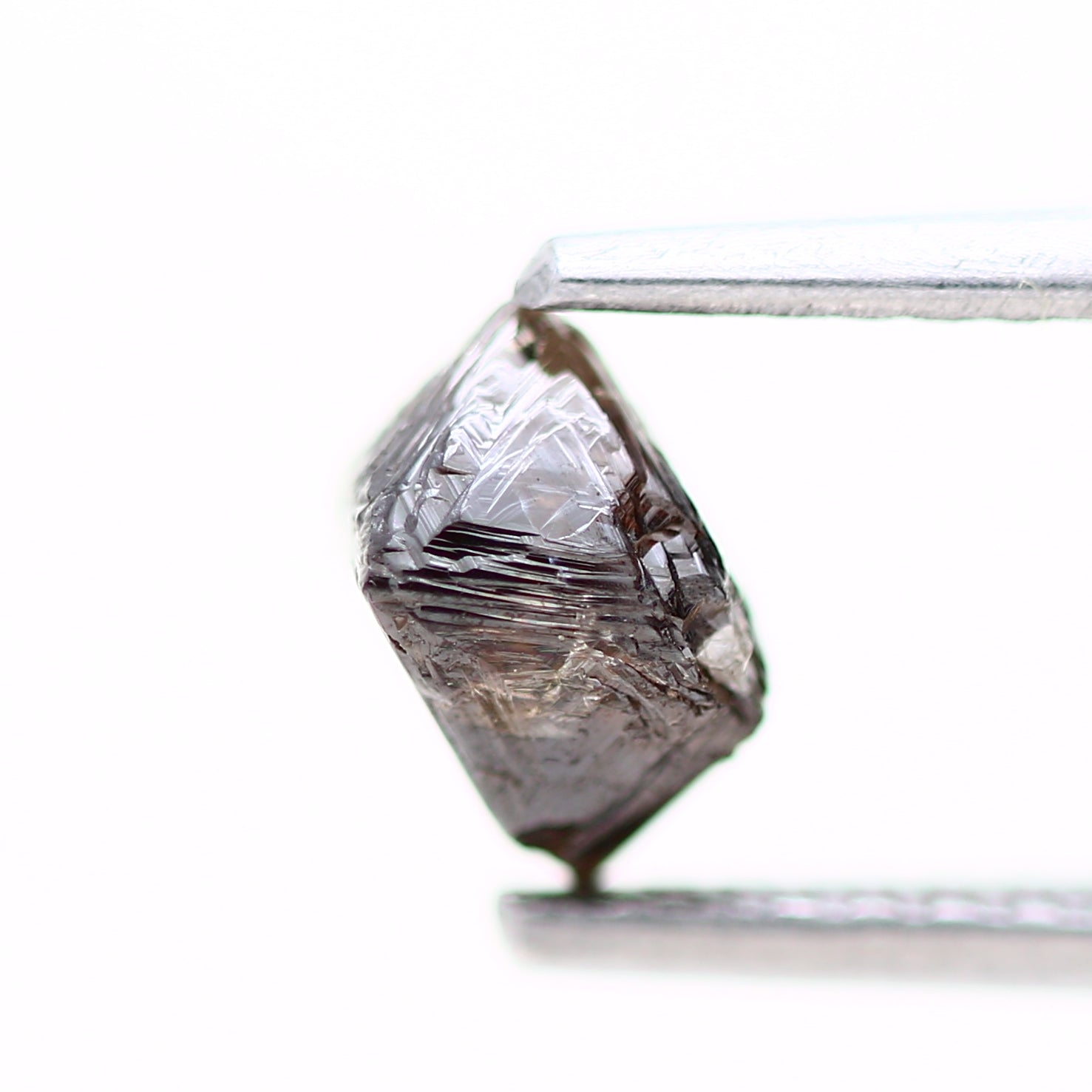 ClariOLED Transparent OLED Display price