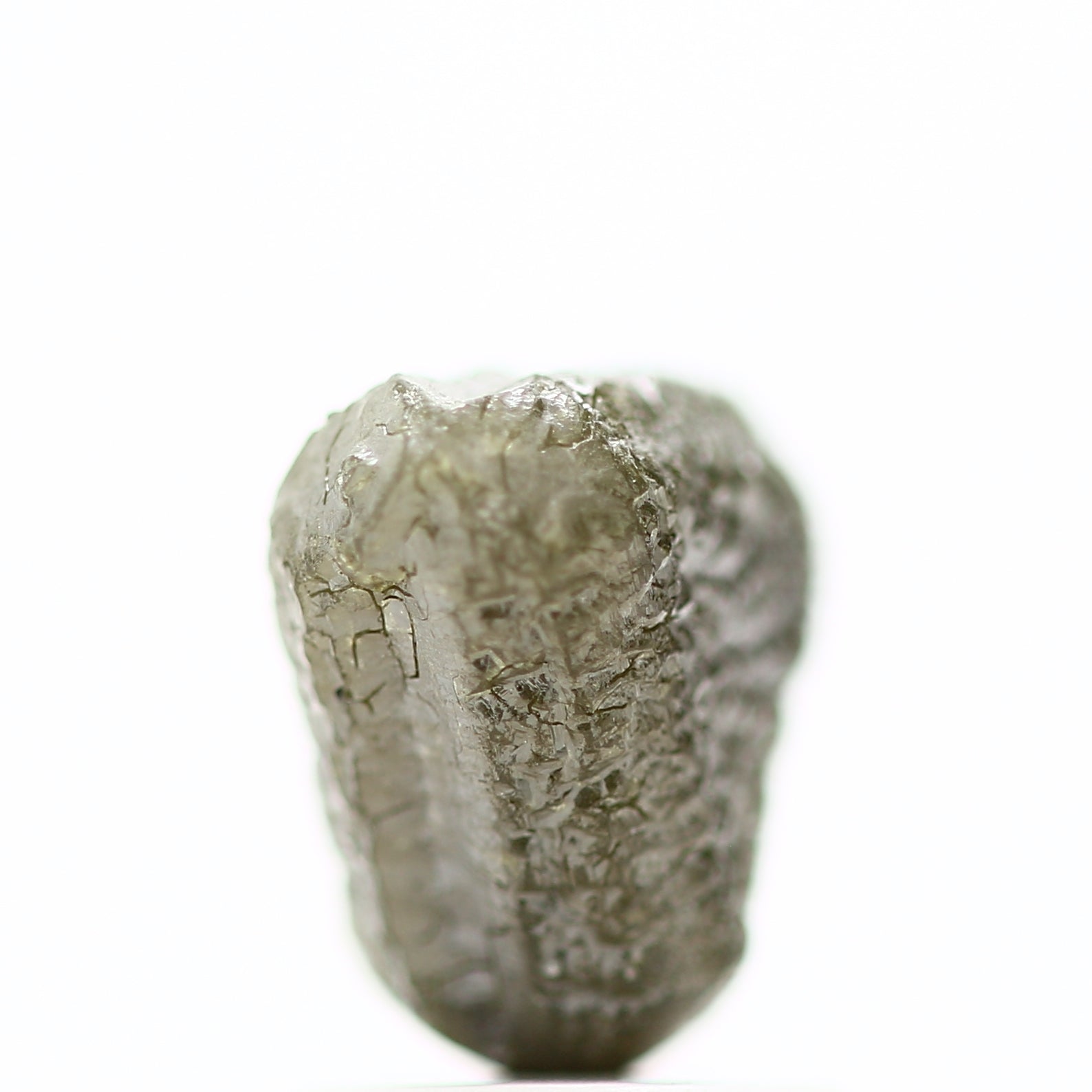 ClariOLED Transparent OLED Display price