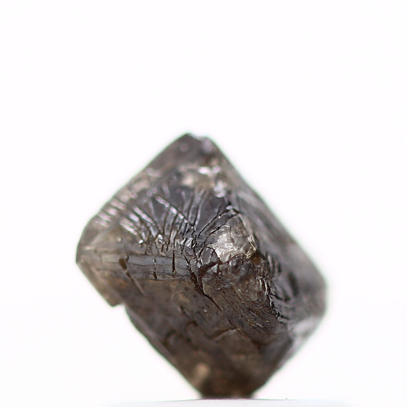 ClariOLED Transparent OLED Display price