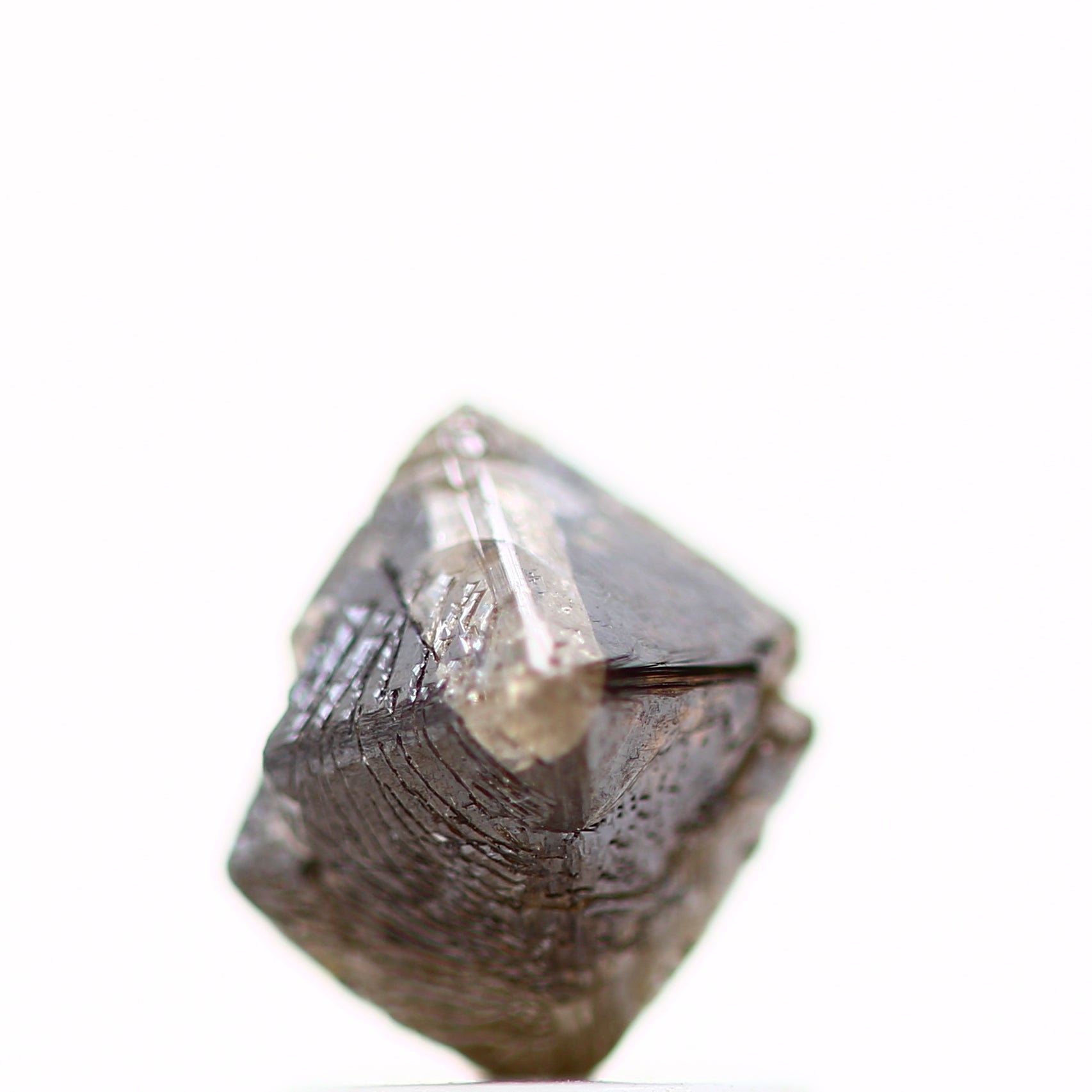 ClariOLED Transparent OLED Display price