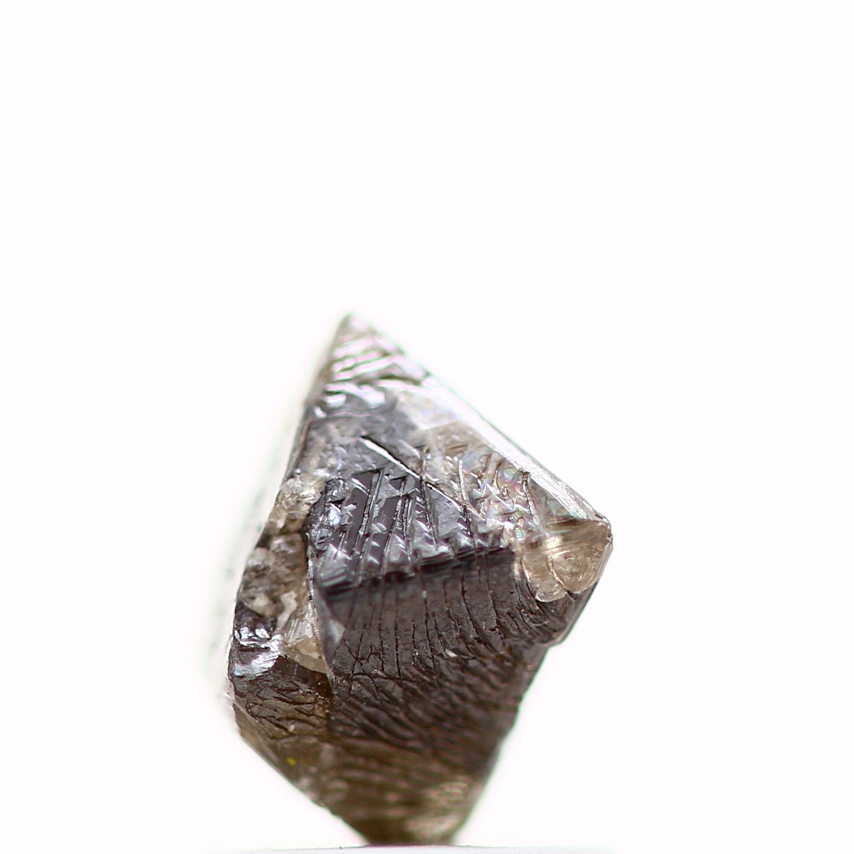 ClariOLED Transparent OLED Display price