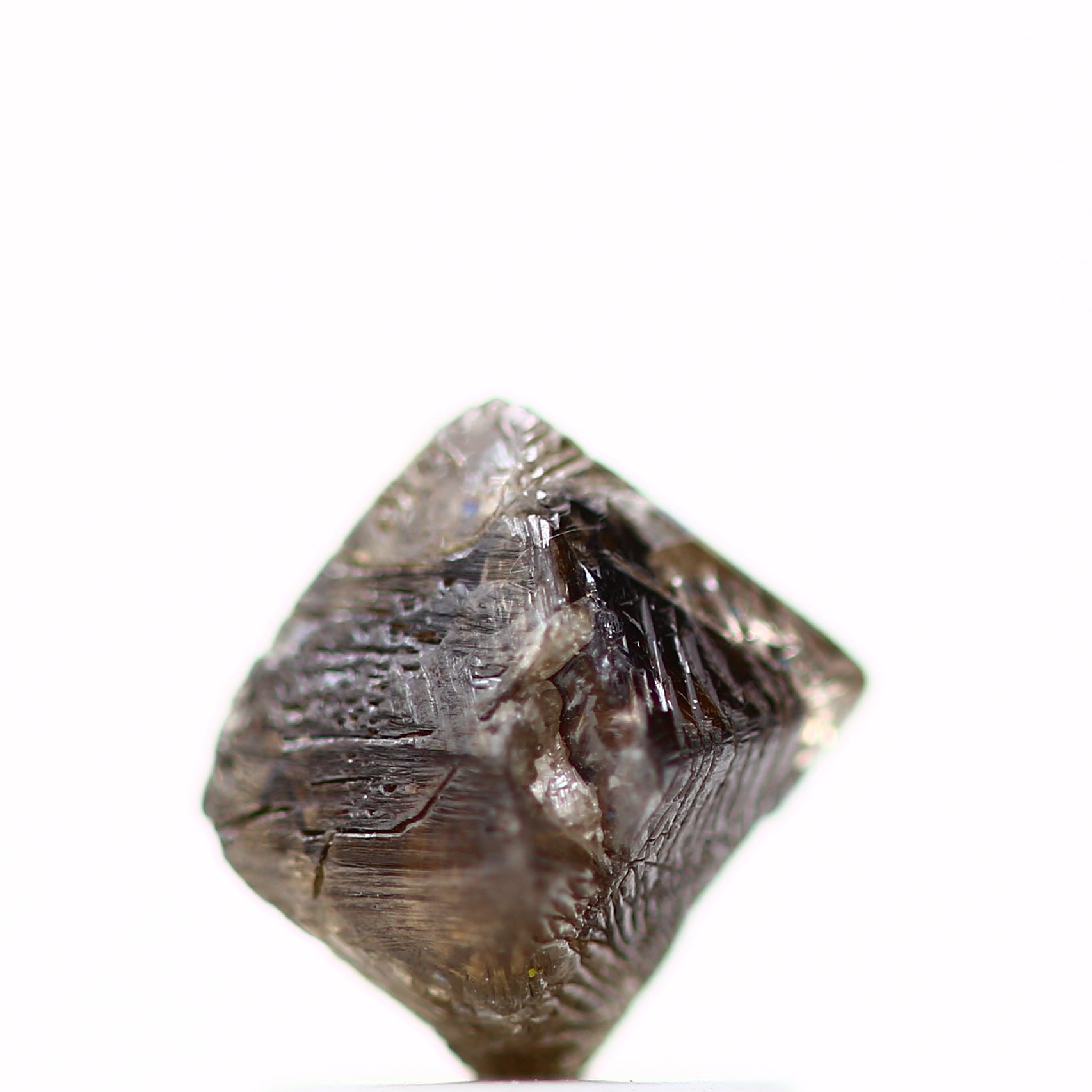 ClariOLED Transparent OLED Display price