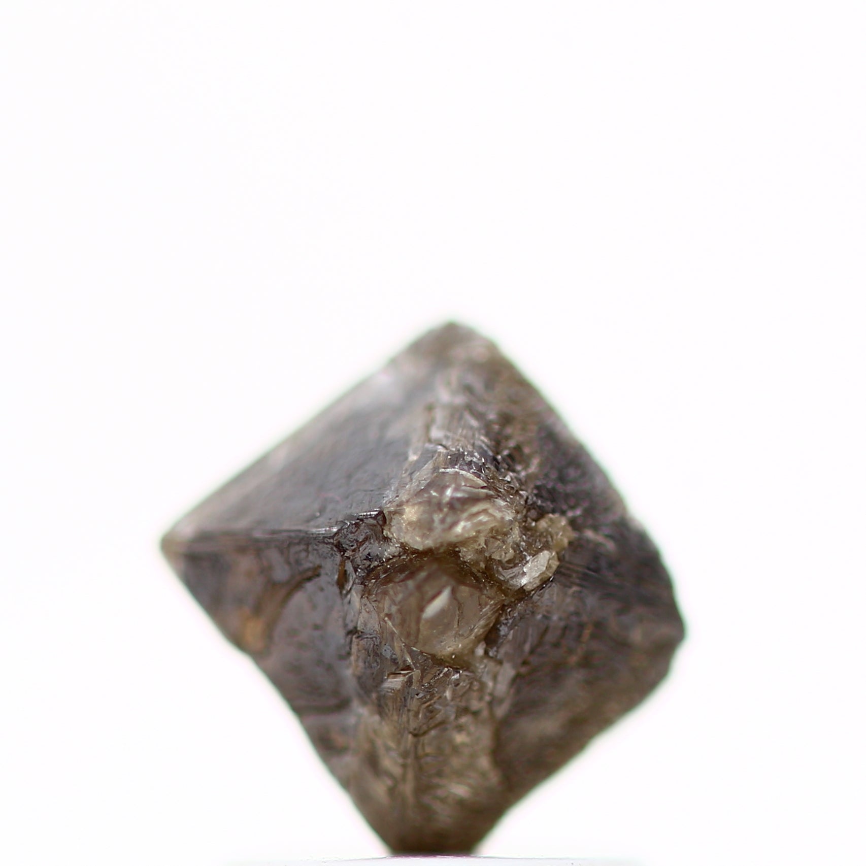 ClariOLED Transparent OLED Display price