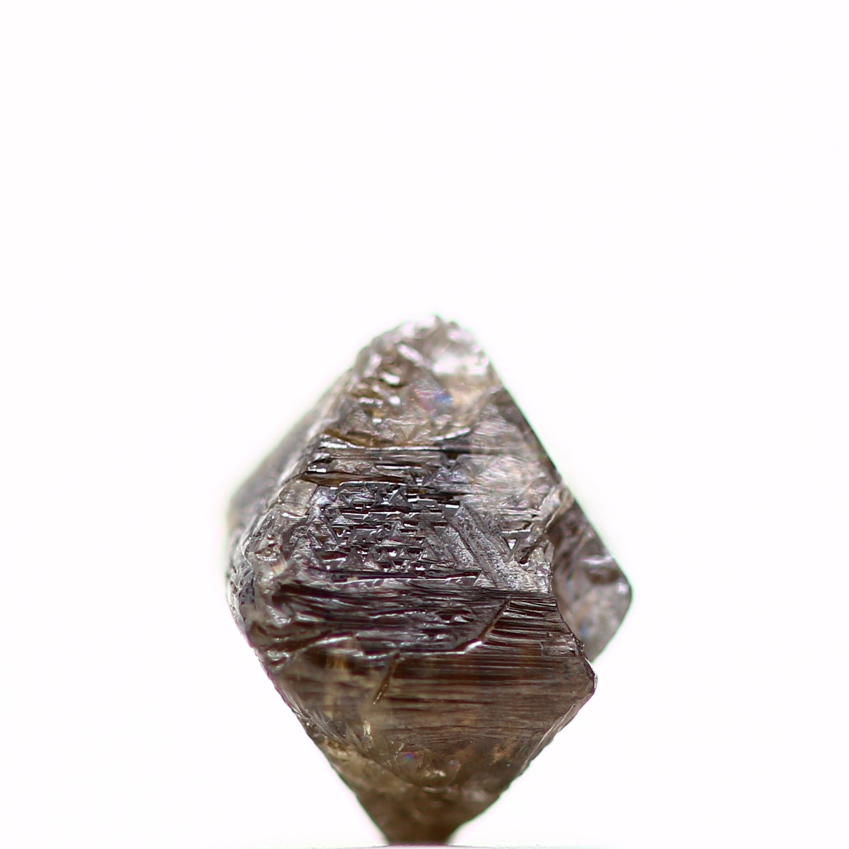 ClariOLED Transparent OLED Display price