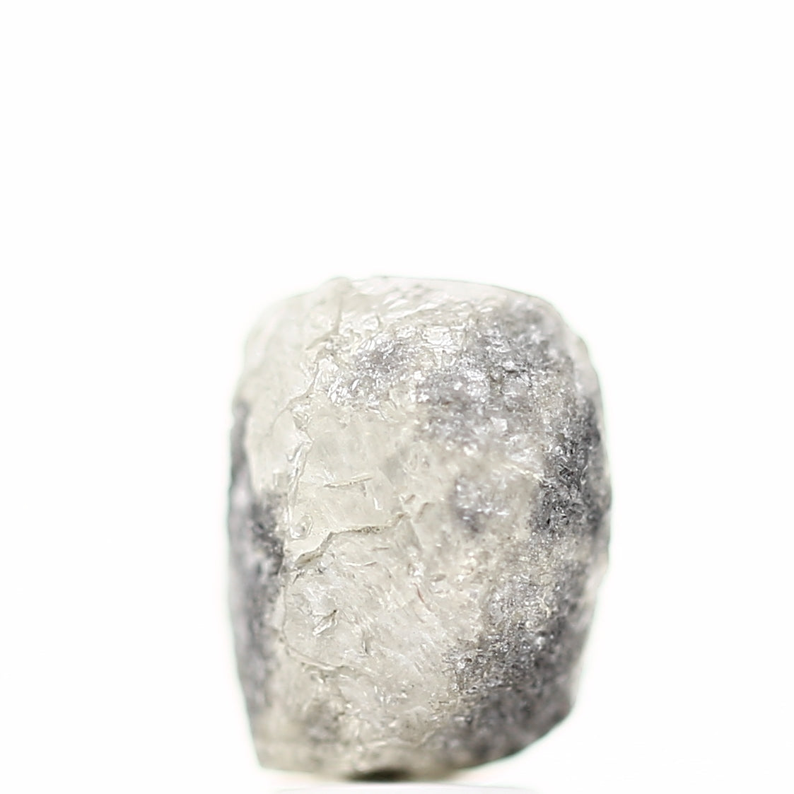 ClariOLED Transparent OLED Display price