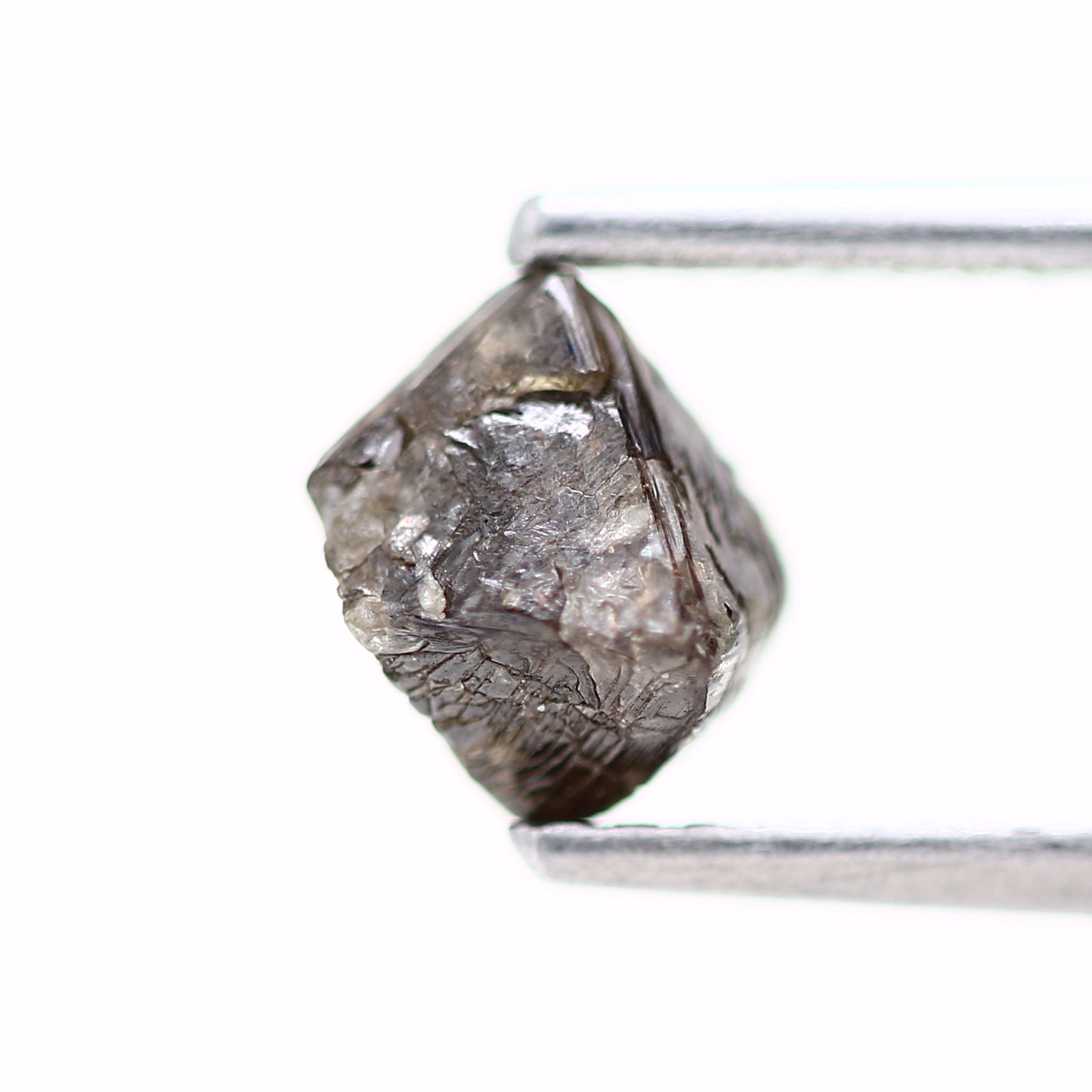 ClariOLED Transparent OLED Display price