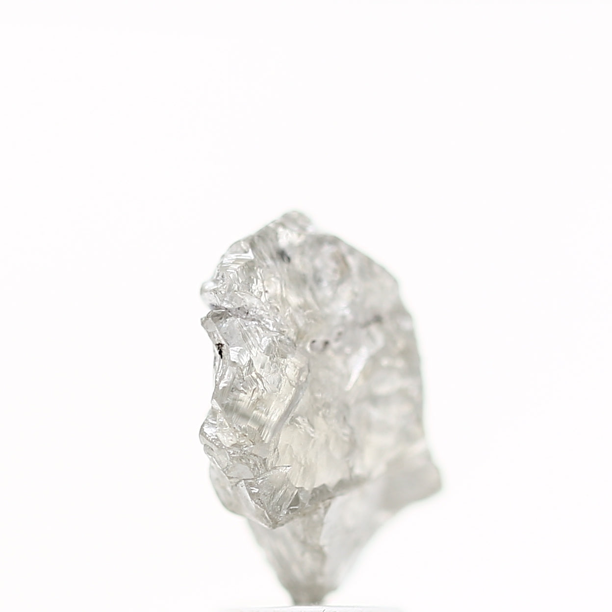 ClariOLED Transparent OLED Display price