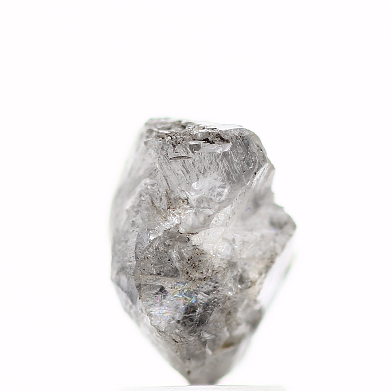 ClariOLED Transparent OLED Display price