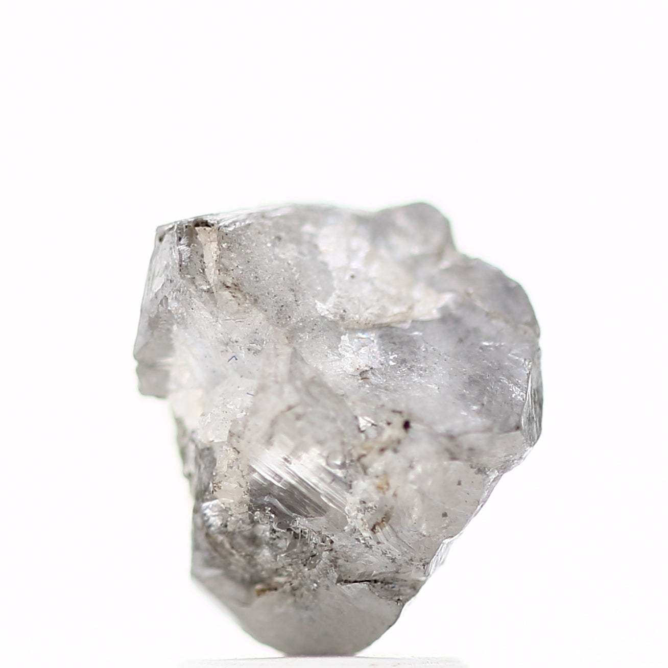 ClariOLED Transparent OLED Display price