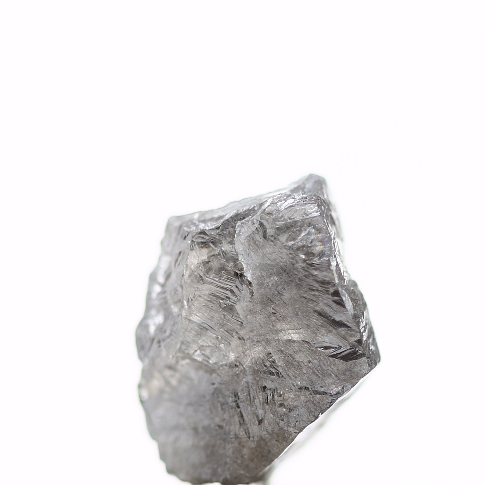 ClariOLED Transparent OLED Display price