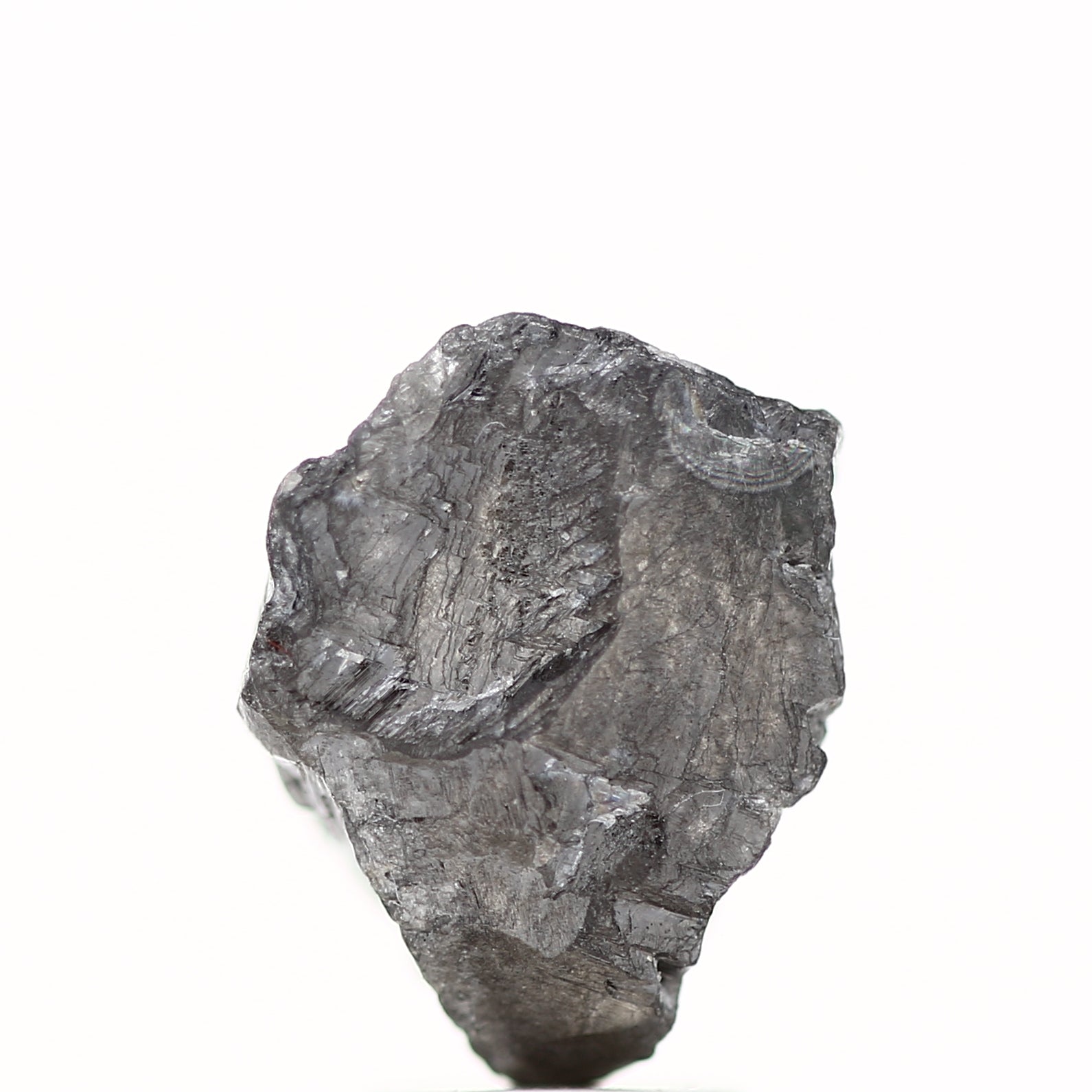 ClariOLED Transparent OLED Display price