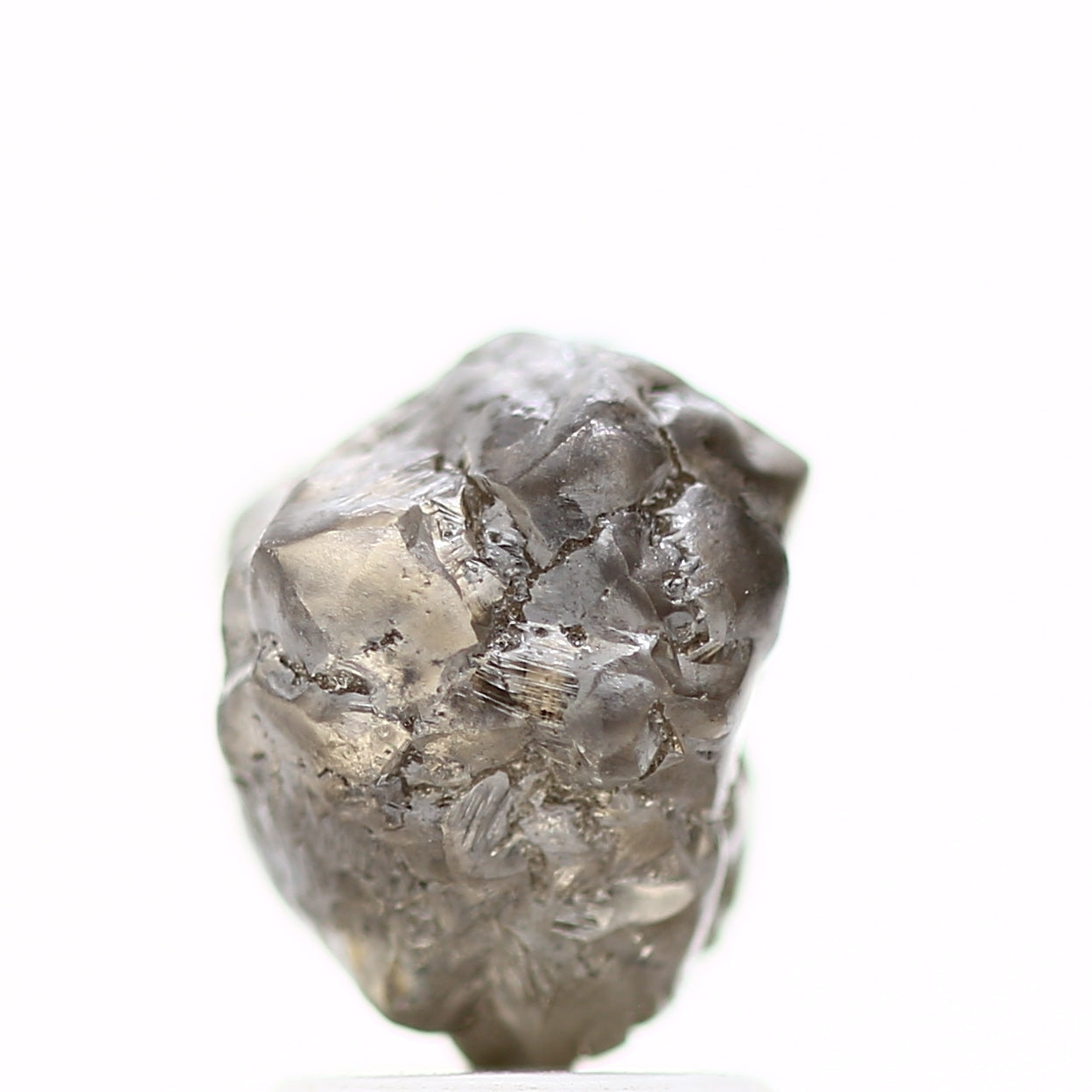 ClariOLED Transparent OLED Display price