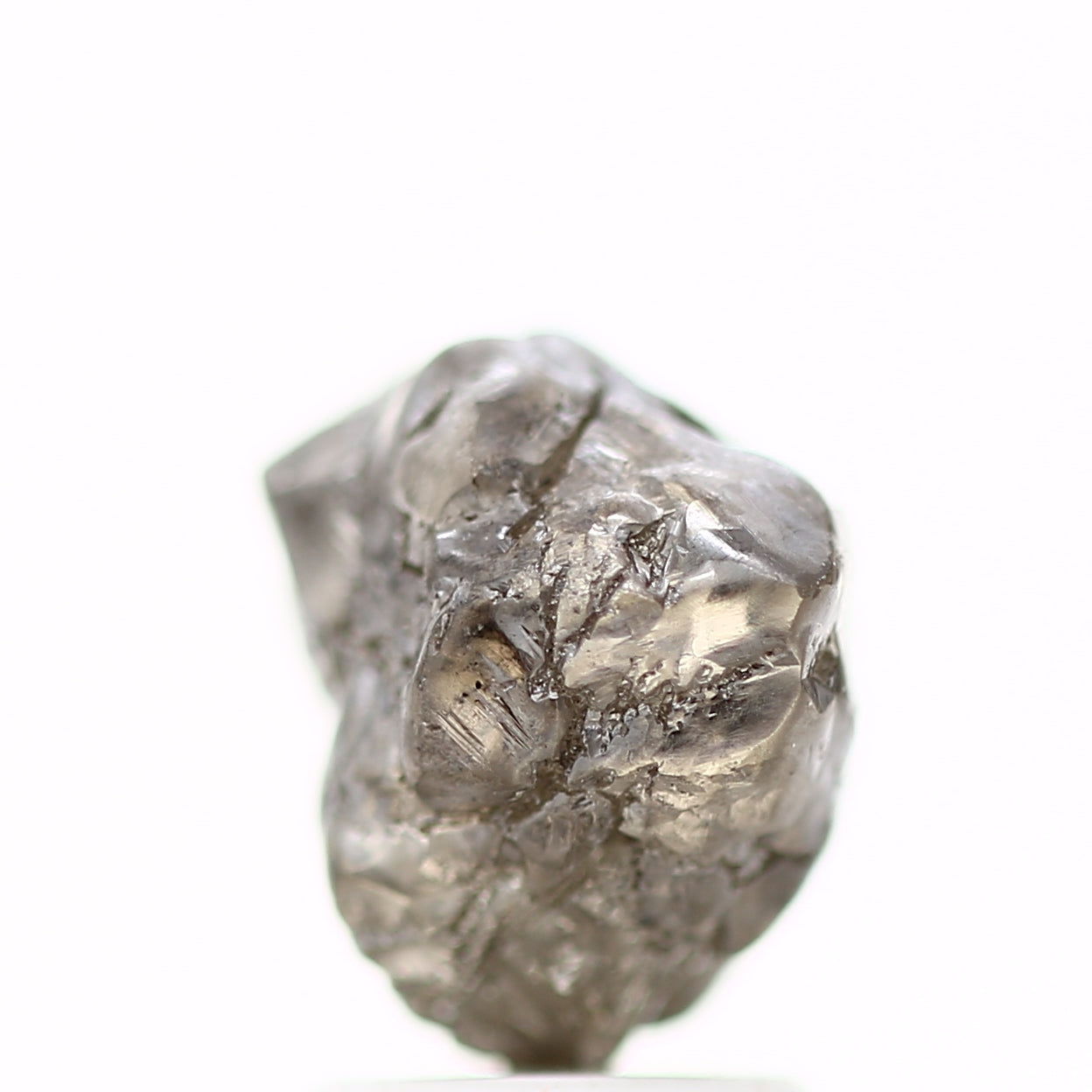 ClariOLED Transparent OLED Display price