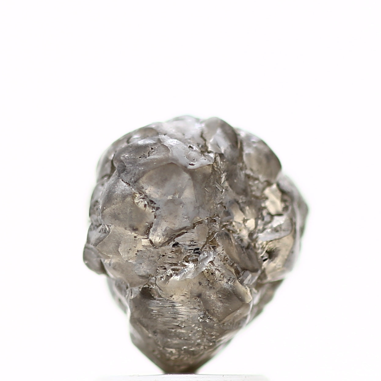 ClariOLED Transparent OLED Display price