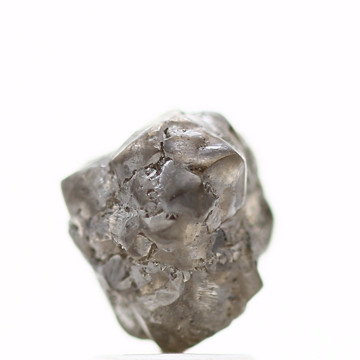 ClariOLED Transparent OLED Display price