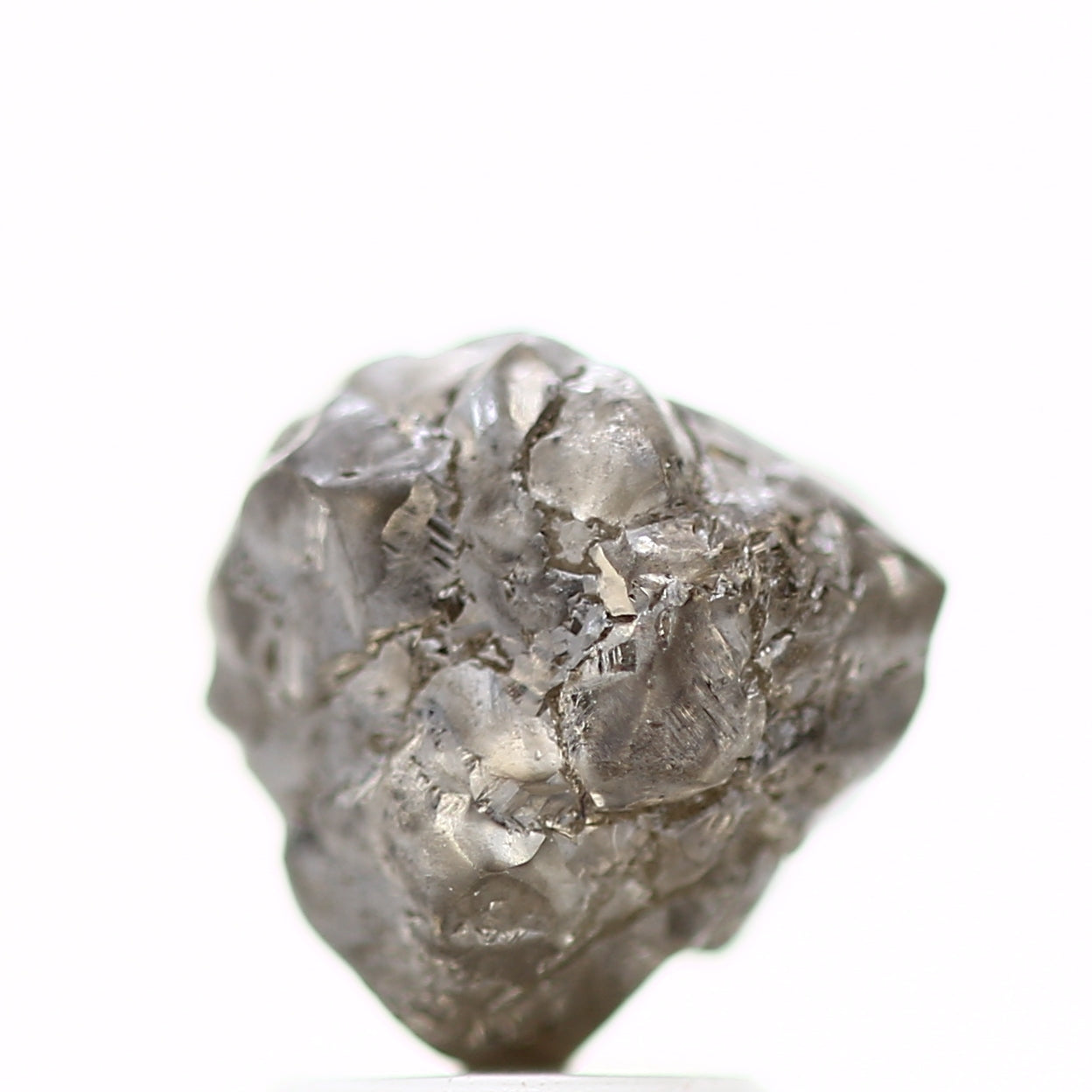 ClariOLED Transparent OLED Display price