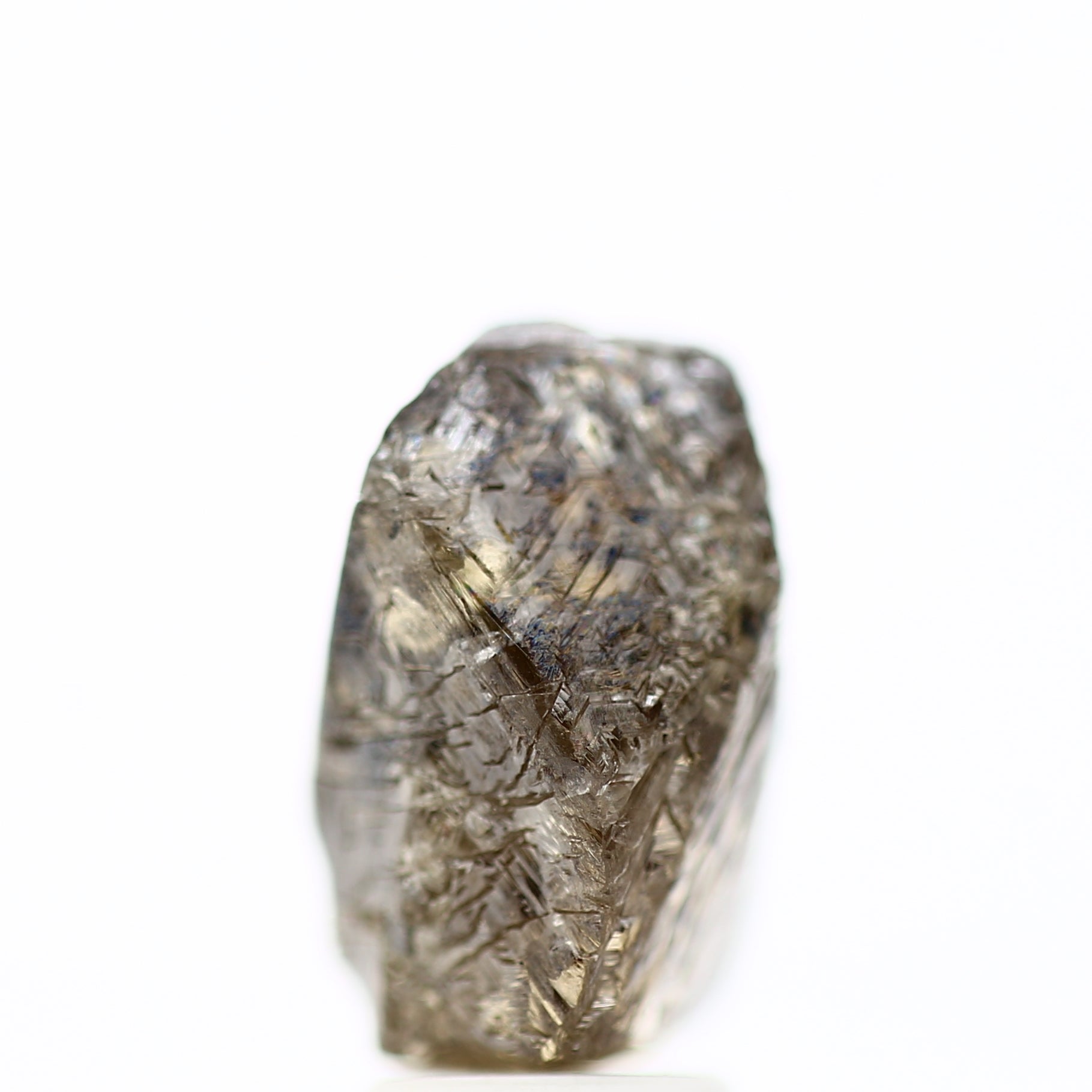 ClariOLED Transparent OLED Display price