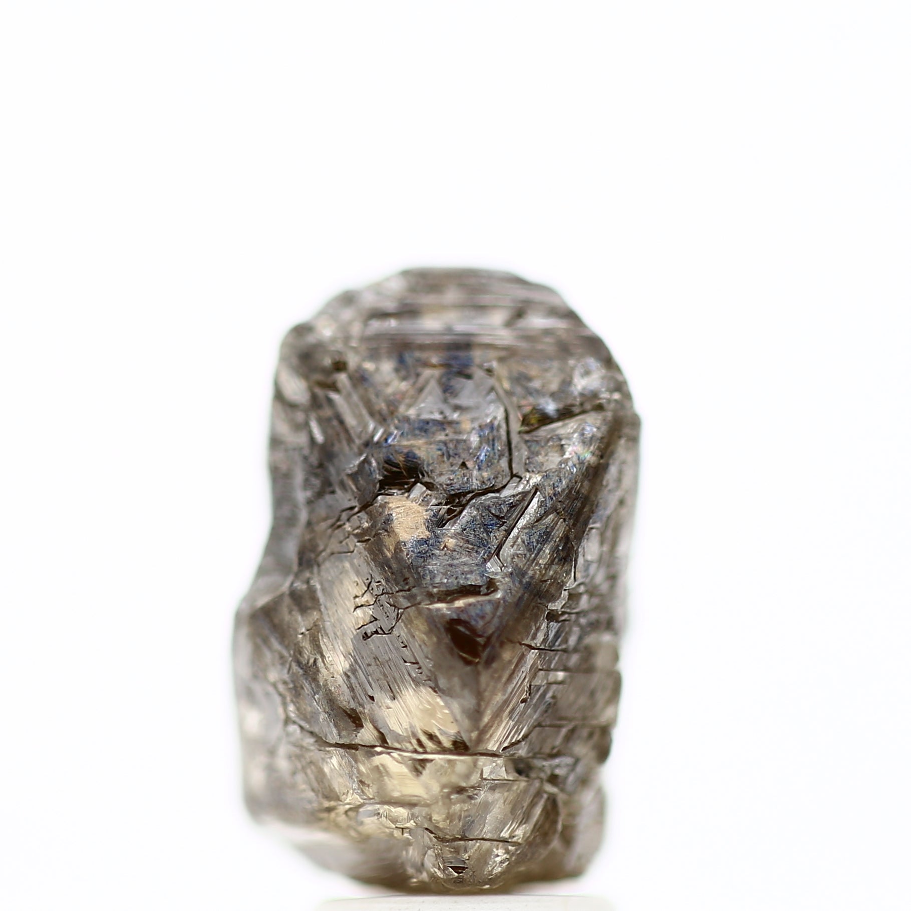 ClariOLED Transparent OLED Display price