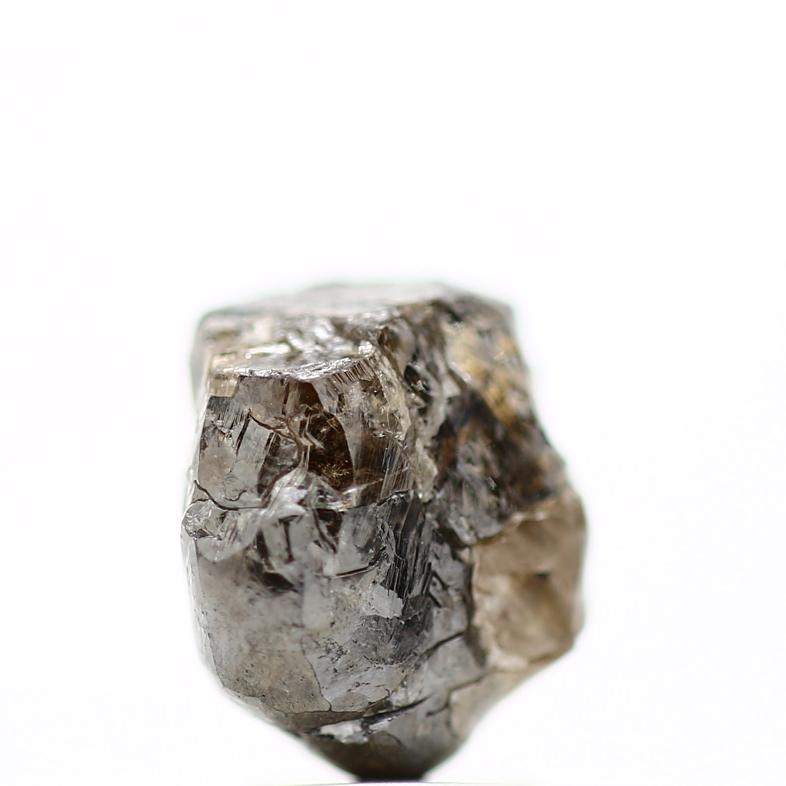 ClariOLED Transparent OLED Display price