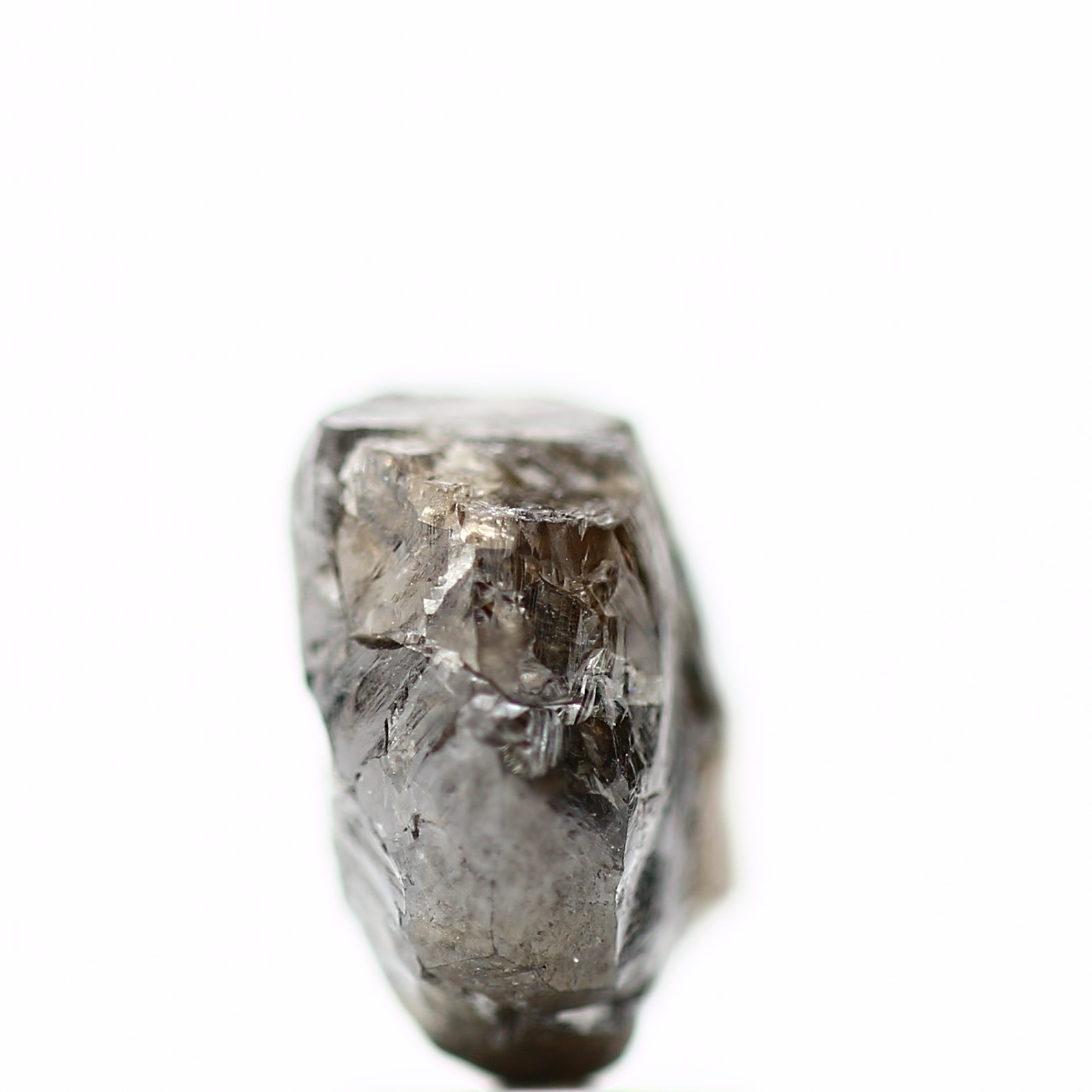 ClariOLED Transparent OLED Display price