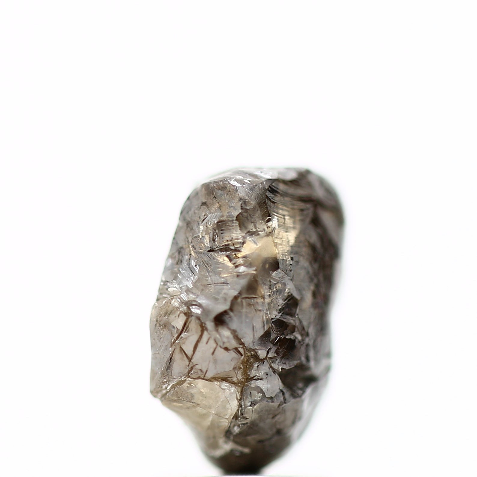 ClariOLED Transparent OLED Display price