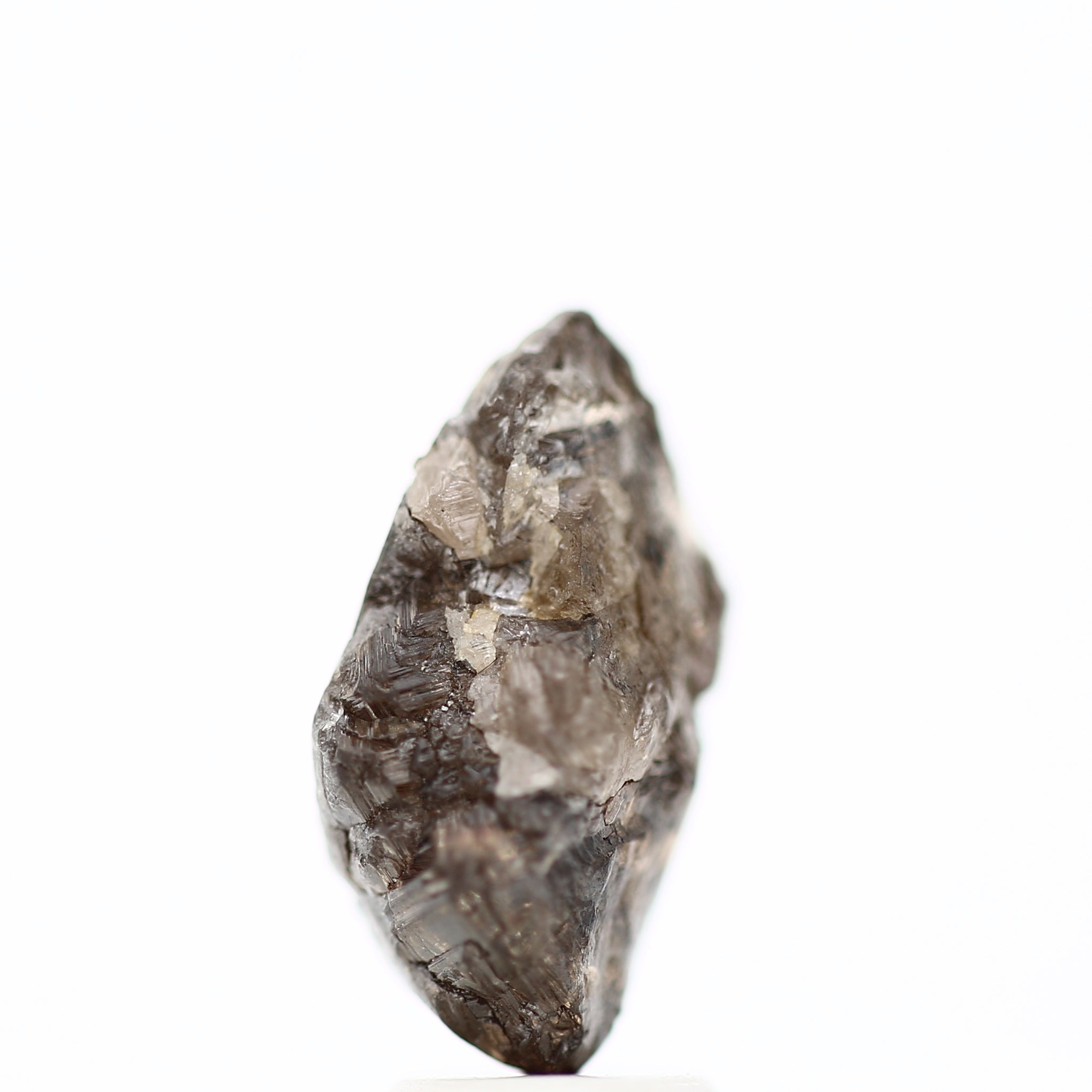 ClariOLED Transparent OLED Display price