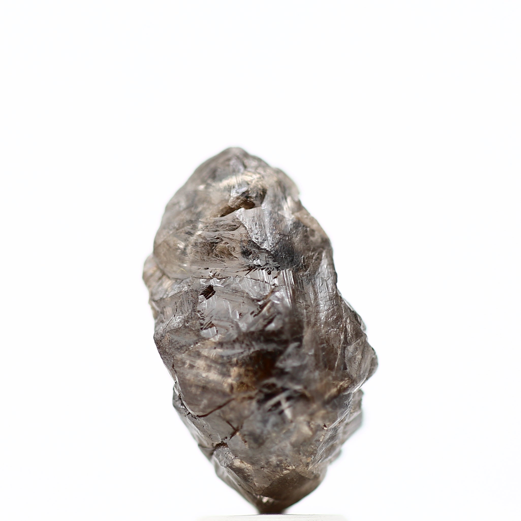 ClariOLED Transparent OLED Display price