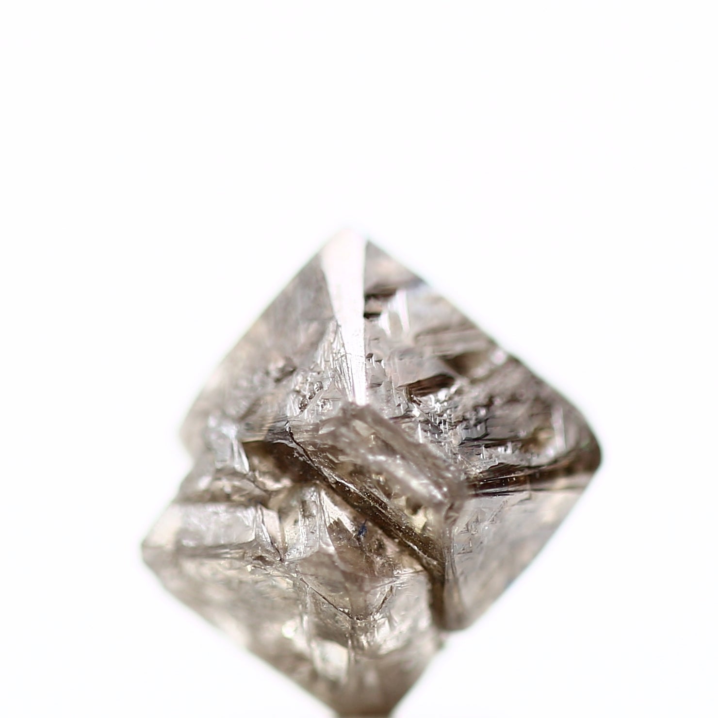 ClariOLED Transparent OLED Display price