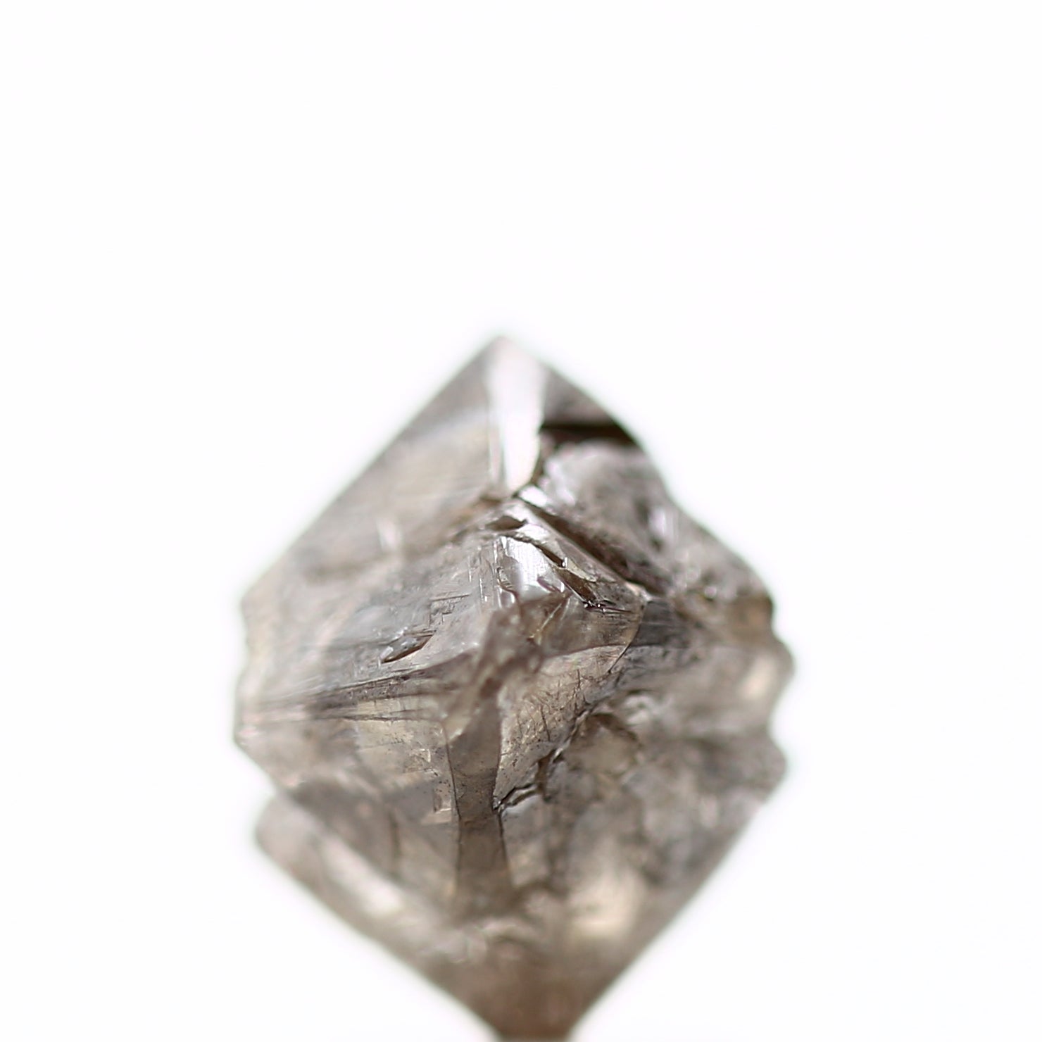 ClariOLED Transparent OLED Display price