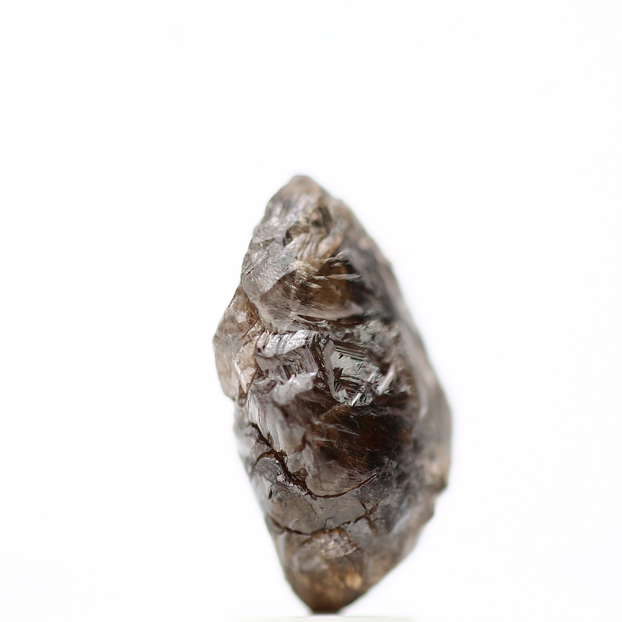 ClariOLED Transparent OLED Display price