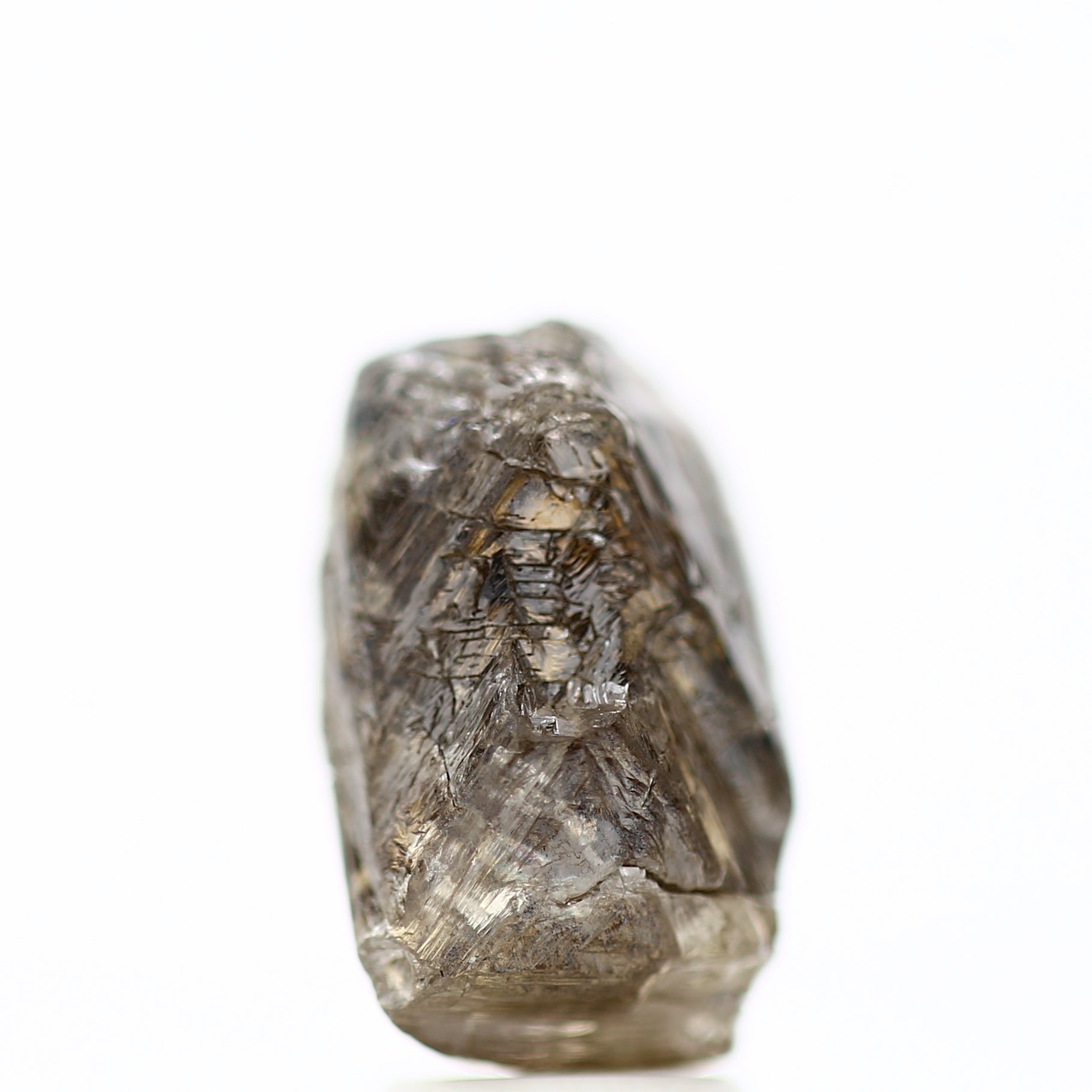 ClariOLED Transparent OLED Display price