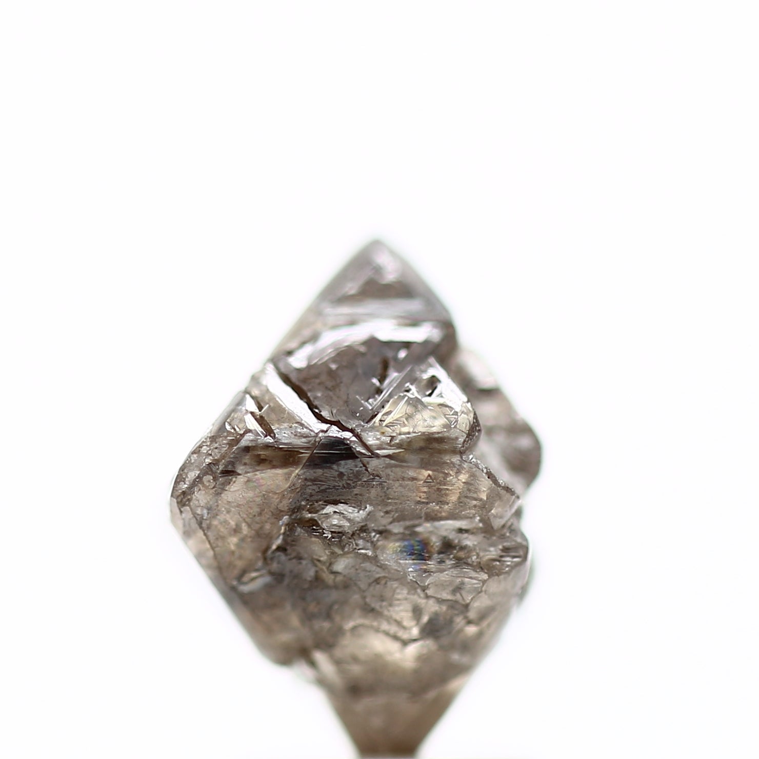 ClariOLED Transparent OLED Display price