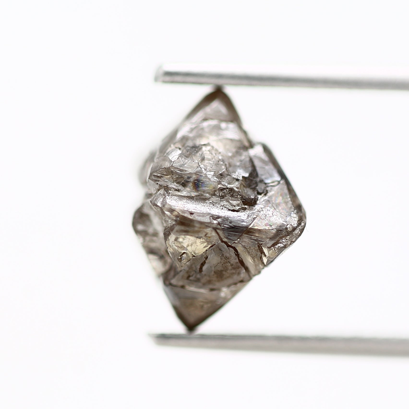 ClariOLED Transparent OLED Display price