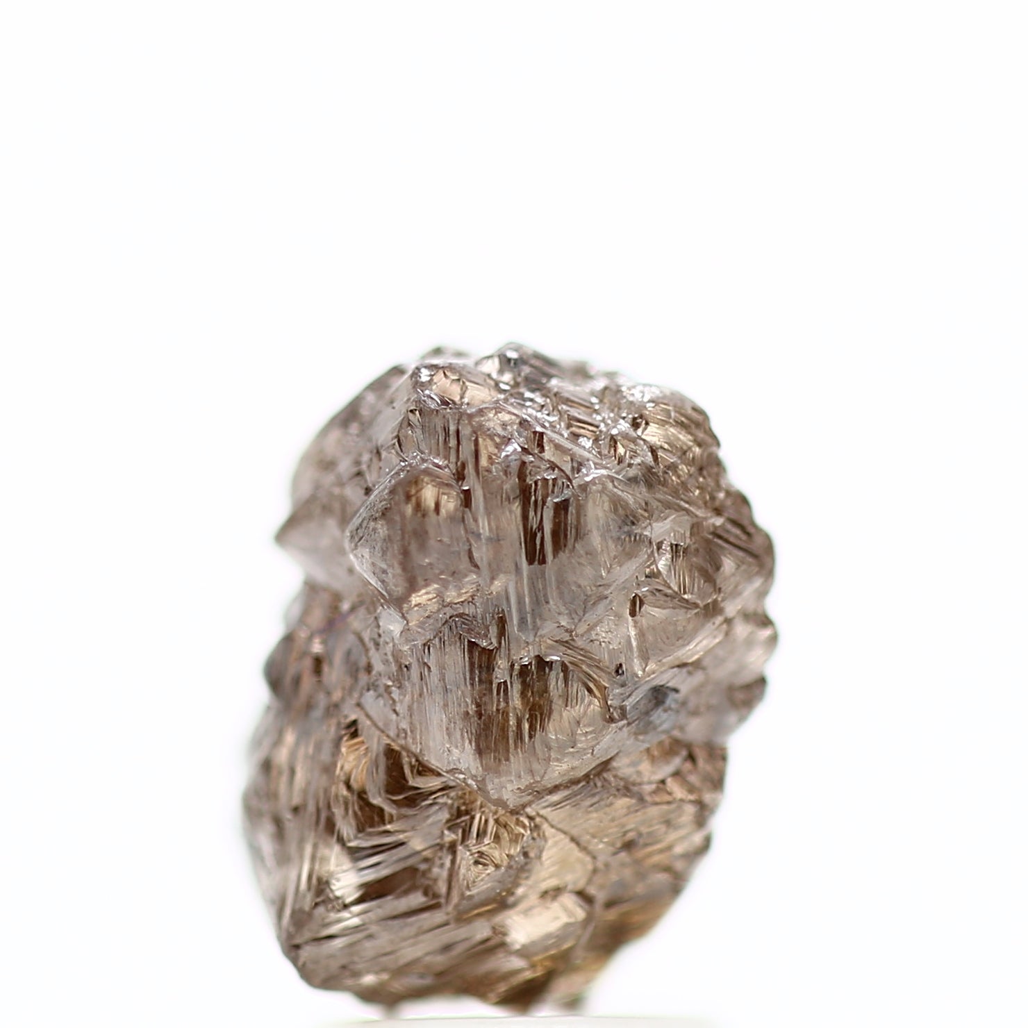 ClariOLED Transparent OLED Display price