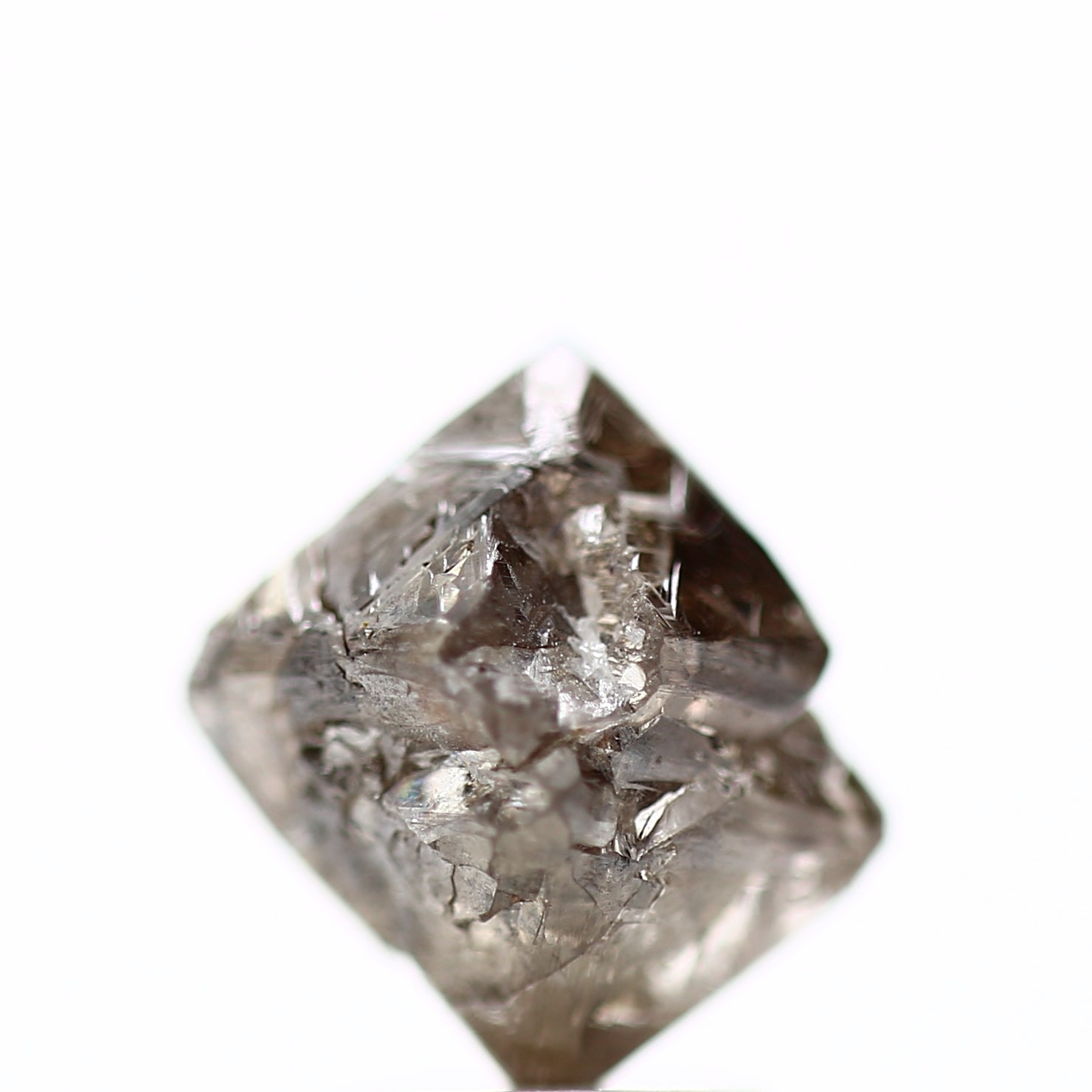 ClariOLED Transparent OLED Display price