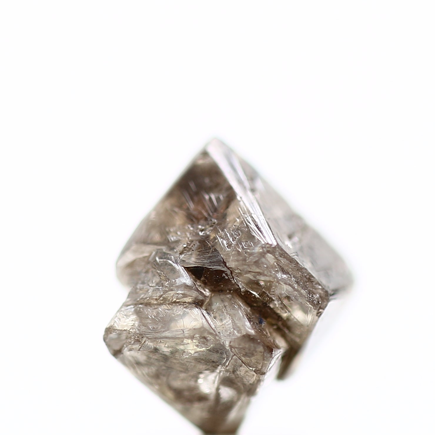 ClariOLED Transparent OLED Display price