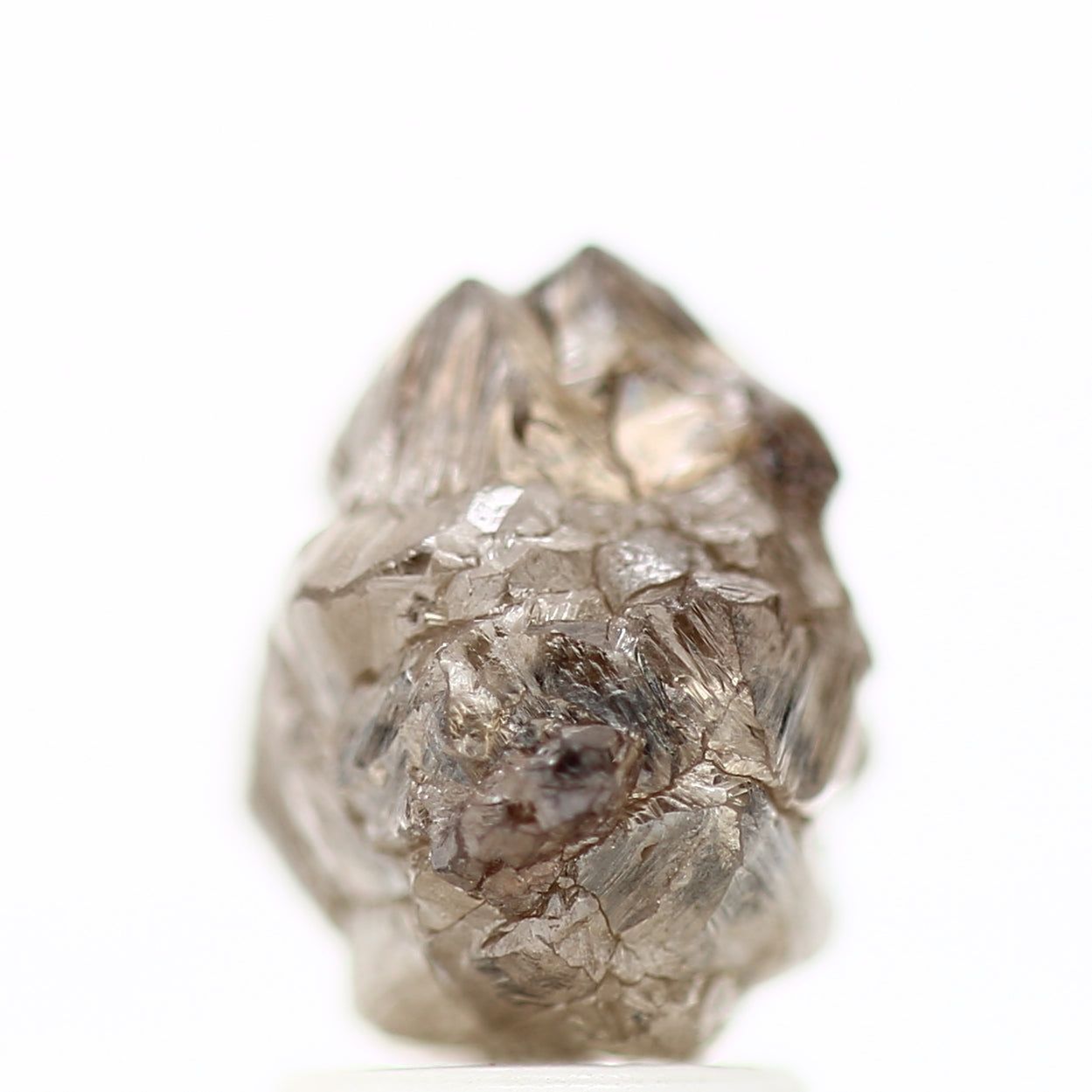 ClariOLED Transparent OLED Display price