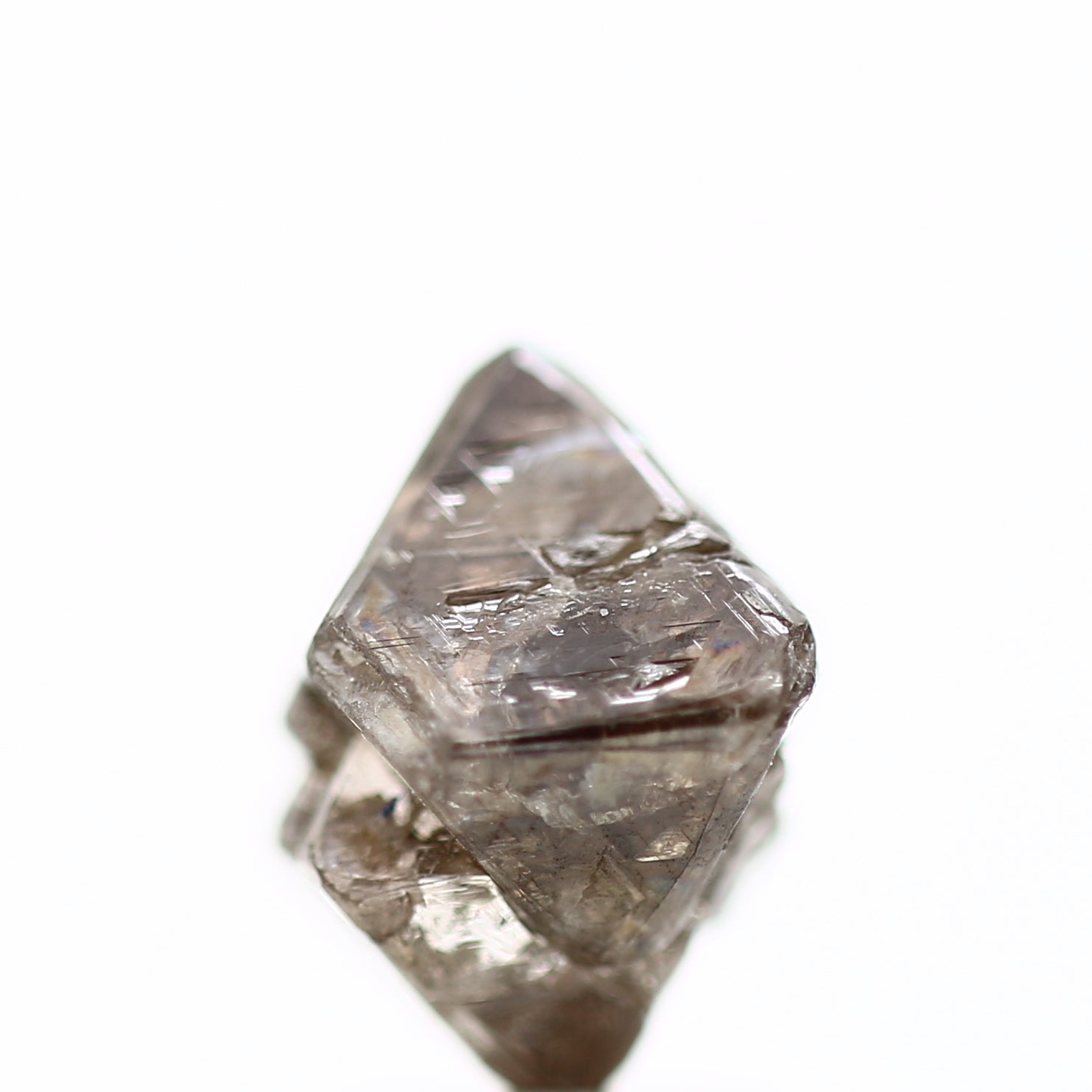 ClariOLED Transparent OLED Display price