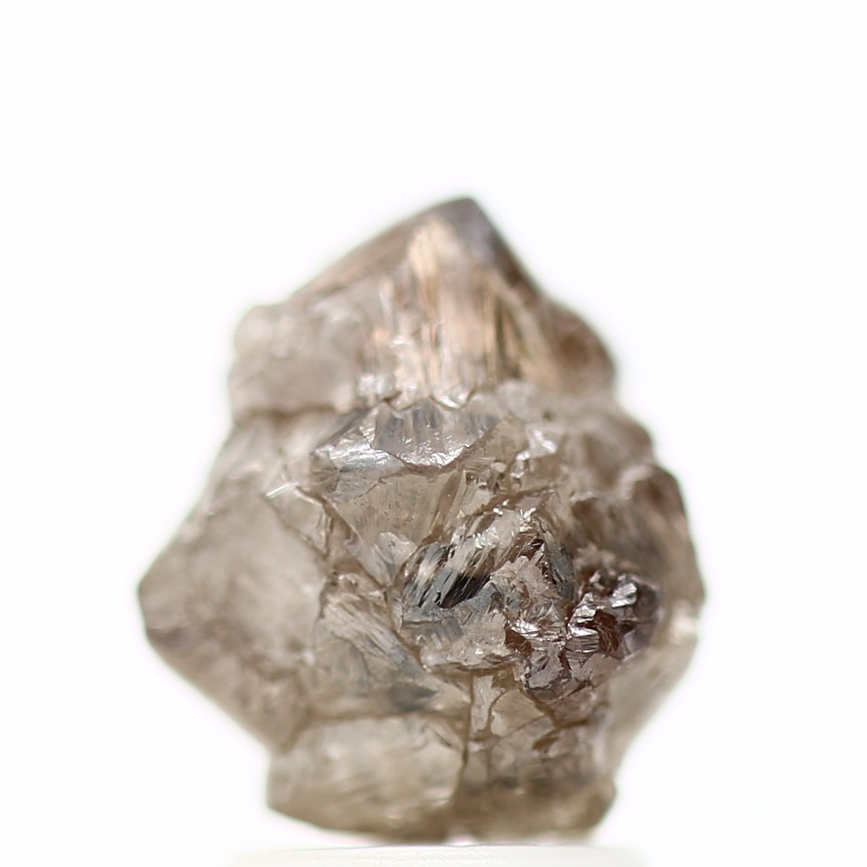 ClariOLED Transparent OLED Display price