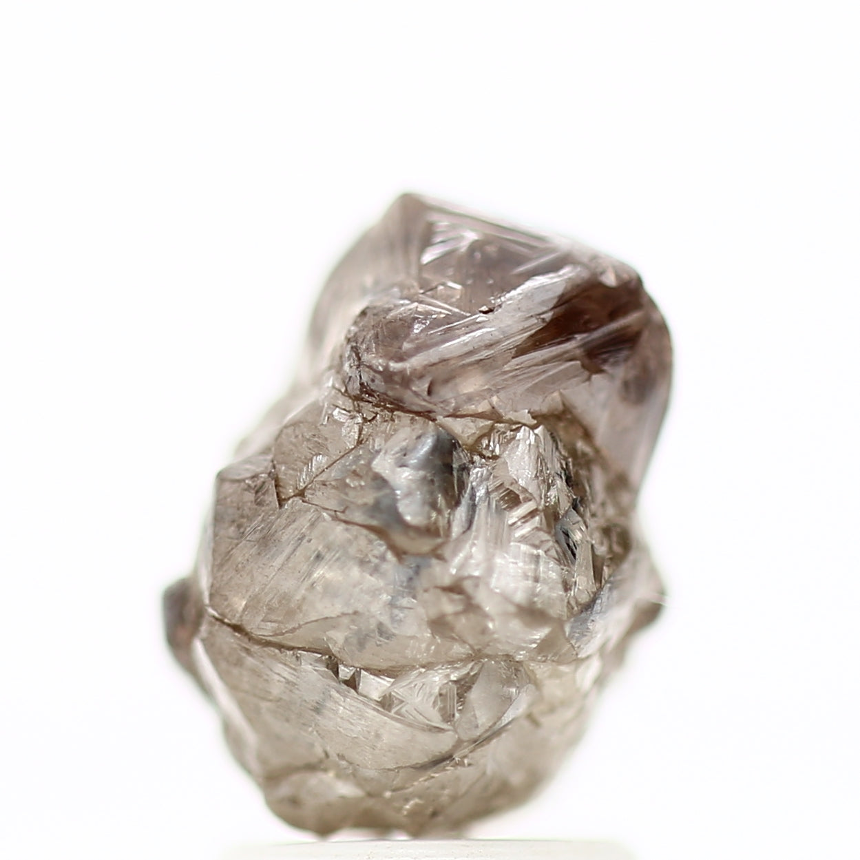 ClariOLED Transparent OLED Display price